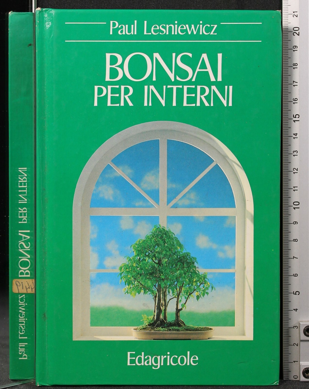 BONSAI PER INTERNI