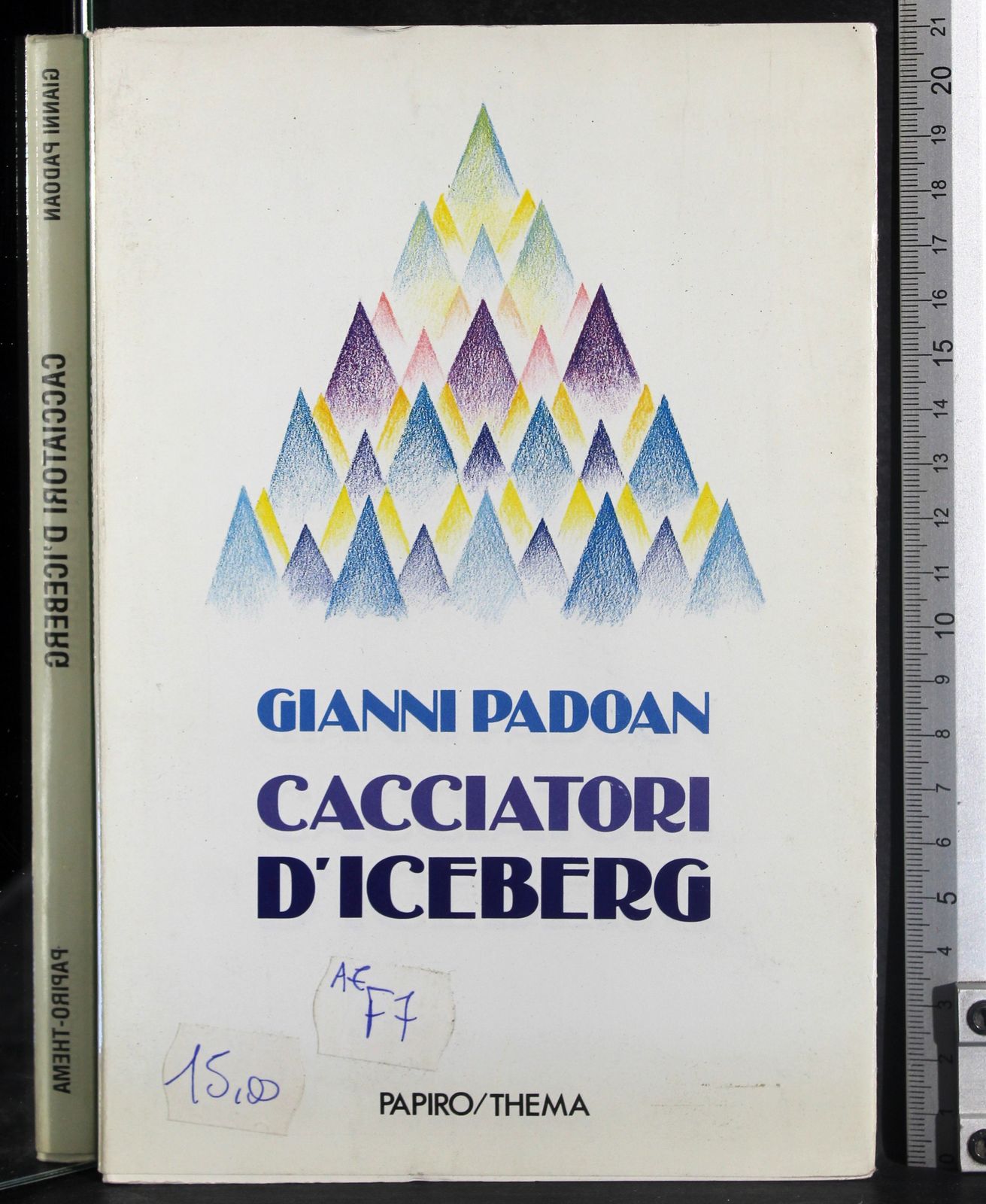 Cacciatori d'iceberg