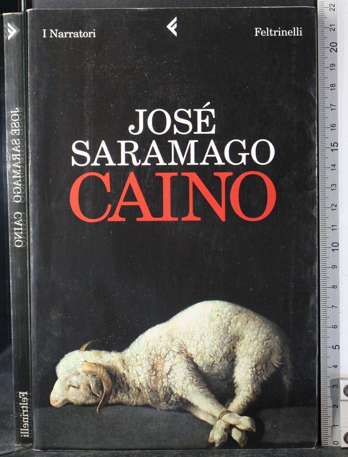 Caino