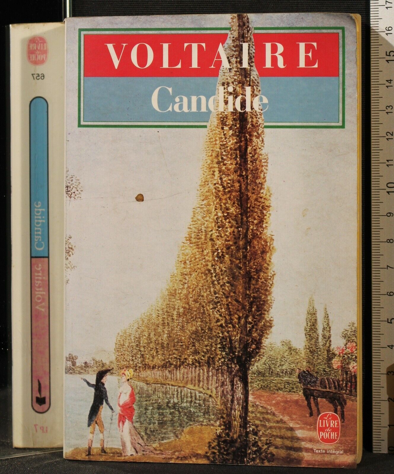 Candide. Vol 1