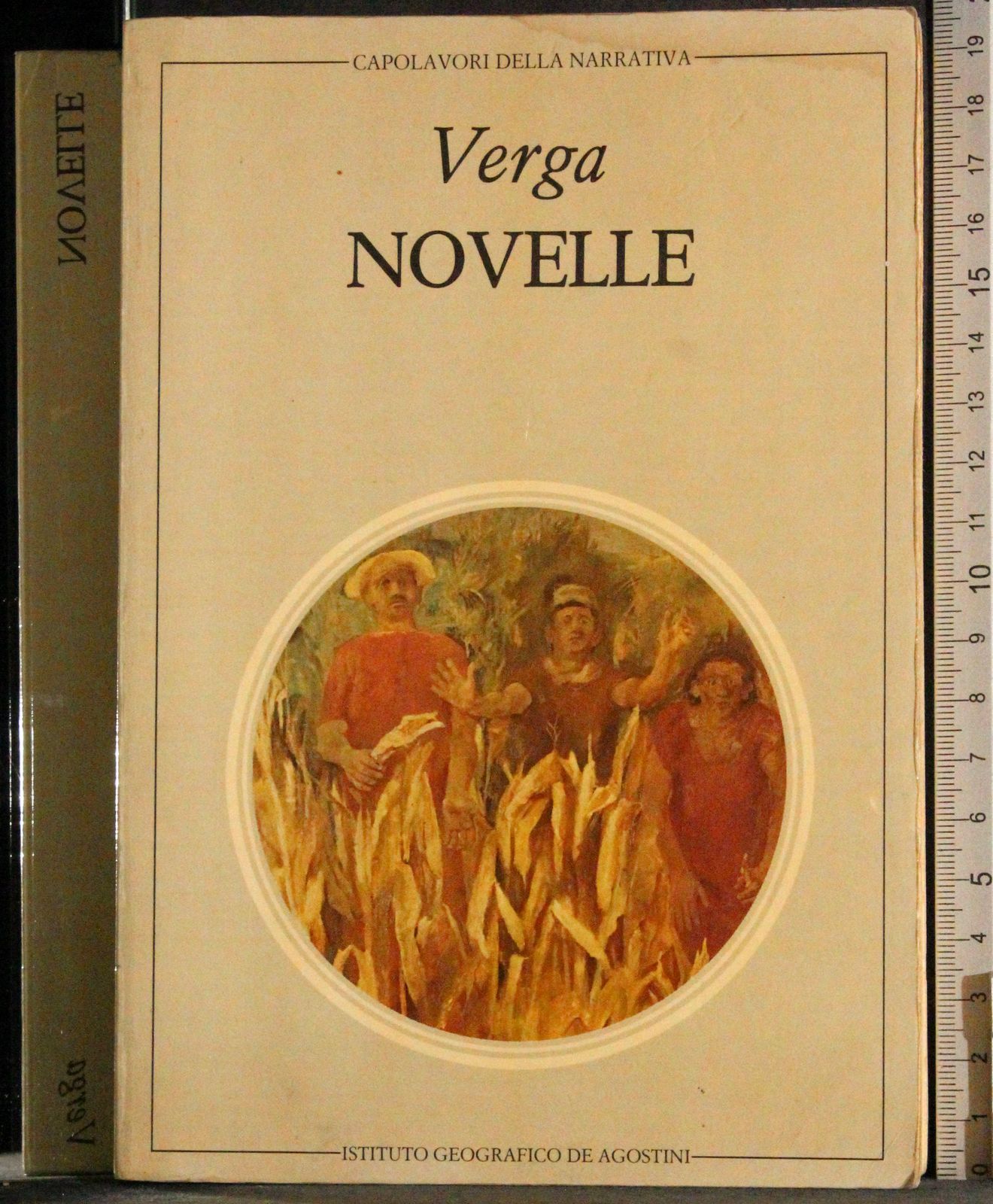 Capolavori della narrativa. Novelle