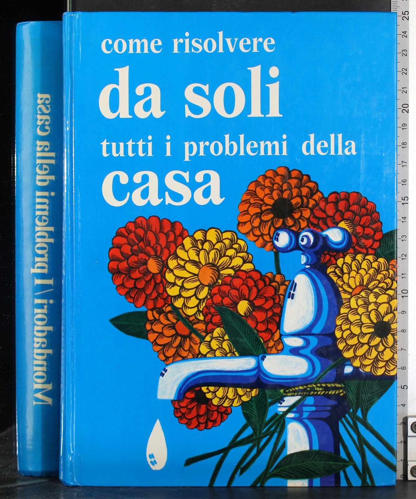 Come risolvere da soli tutti i problemi della casa