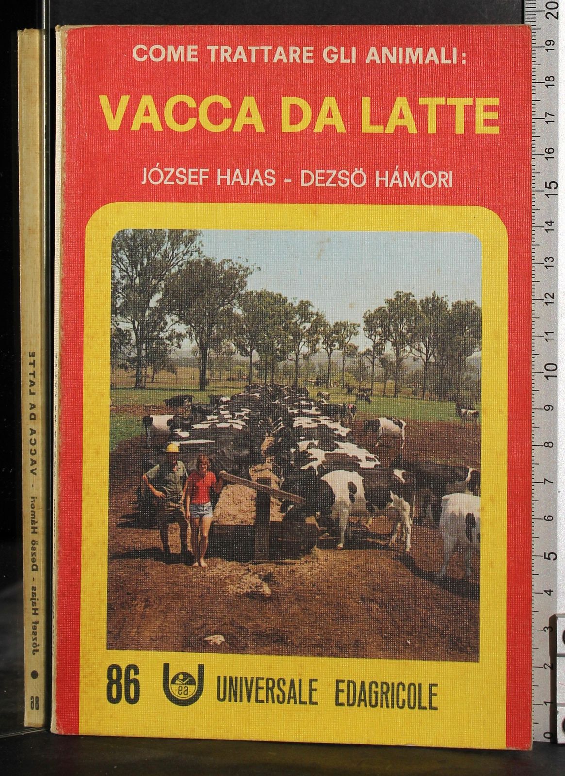Come trattare gli animali vacca da latte