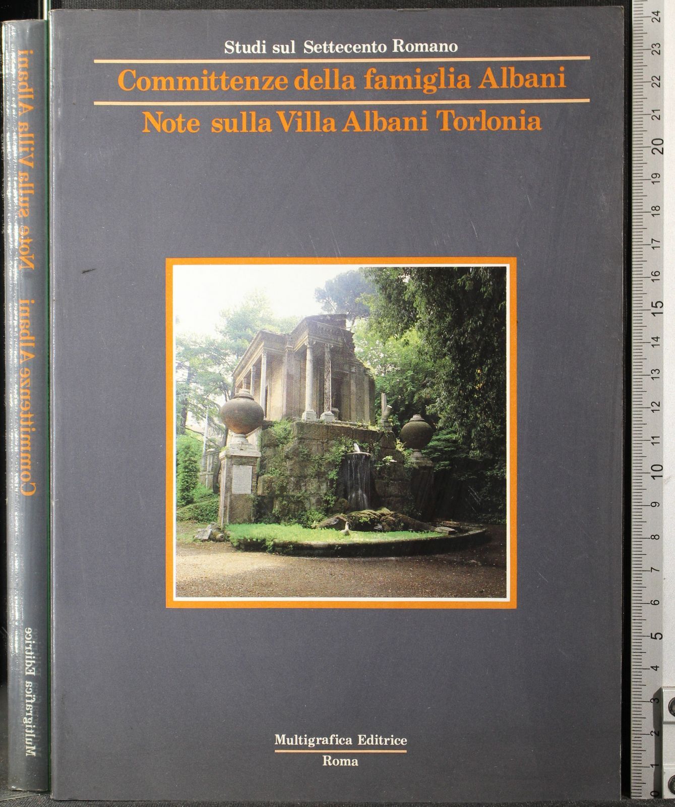 Committenza della famiglia Albani. Note sulla Villa Alb.