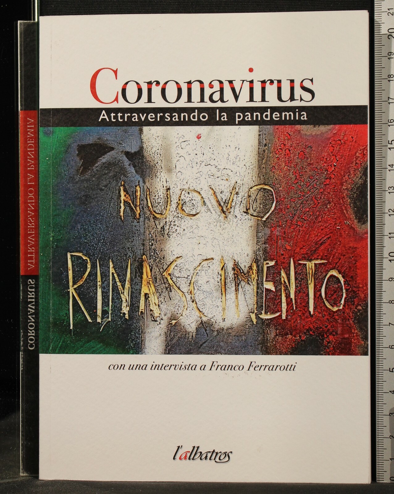Coronavirus. Attraversando la pandemia