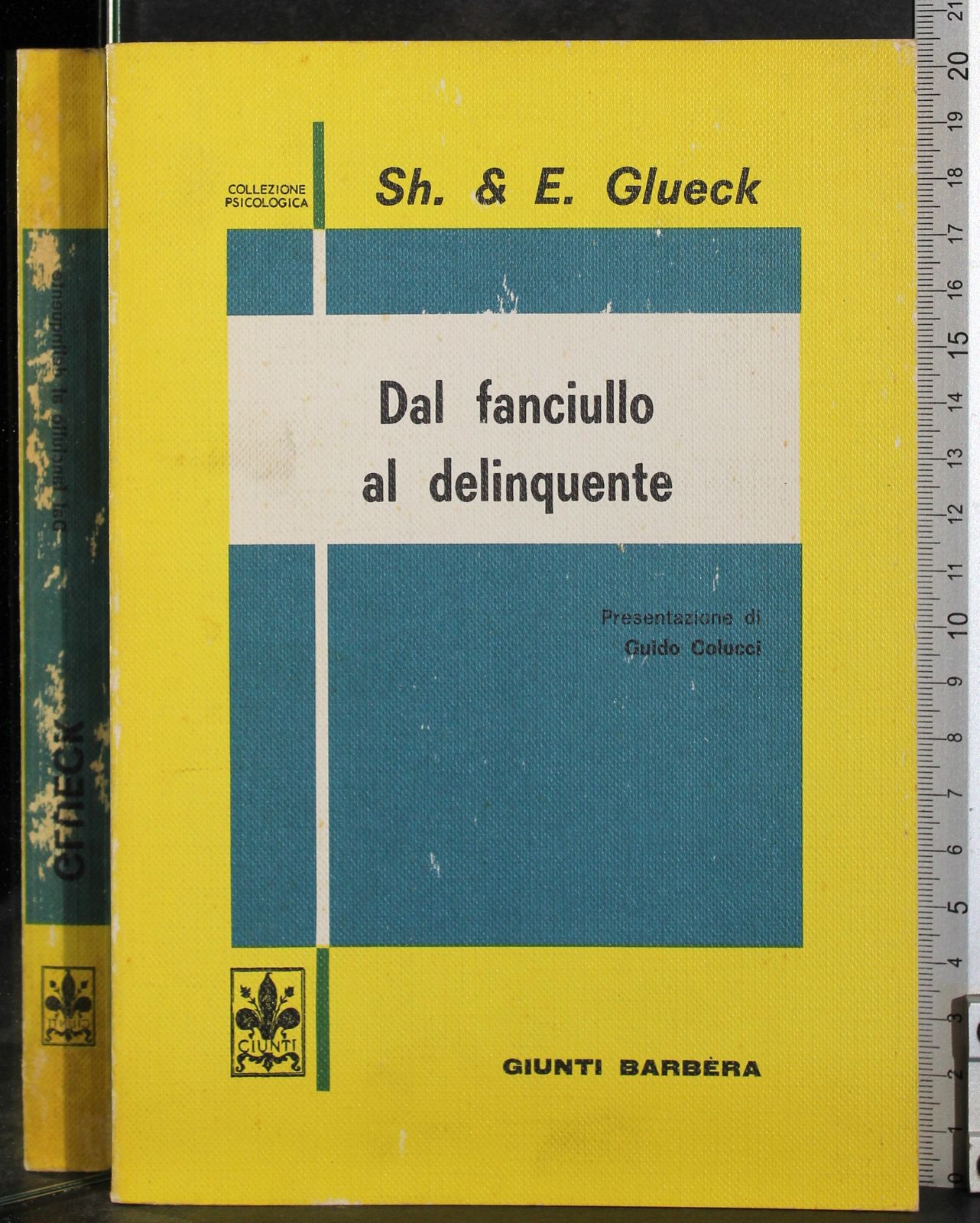 Dal fanciullo al delinquente
