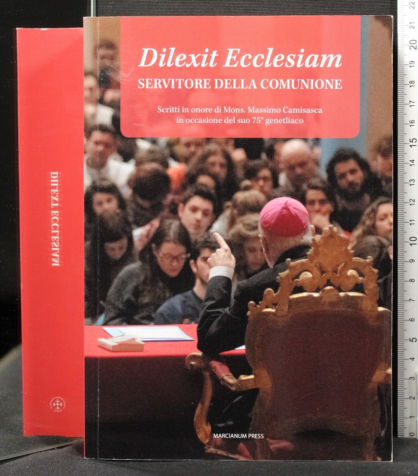 Dilexit Ecclesiam. Servitore della comunione
