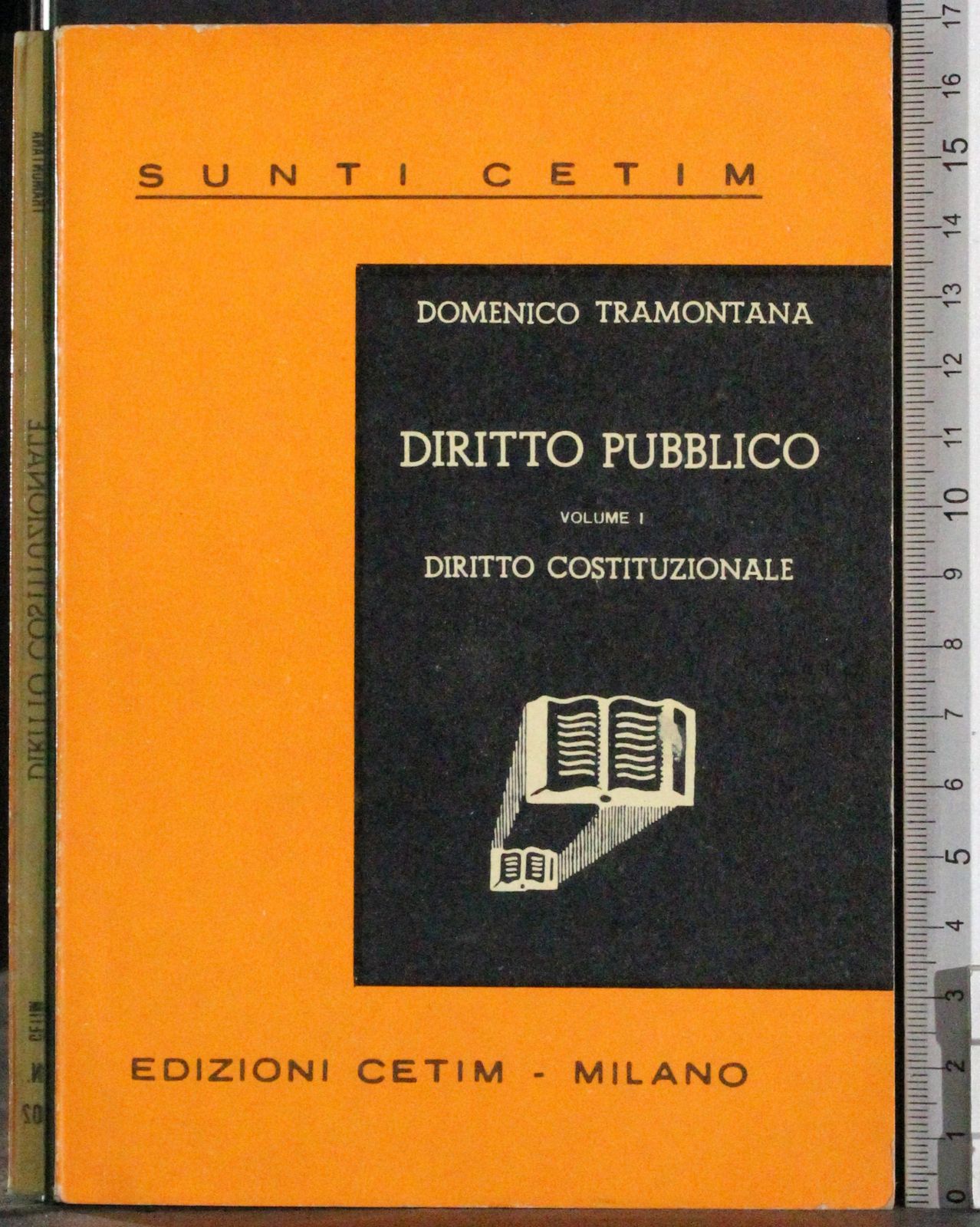 Diritto pubblico. Vol 1