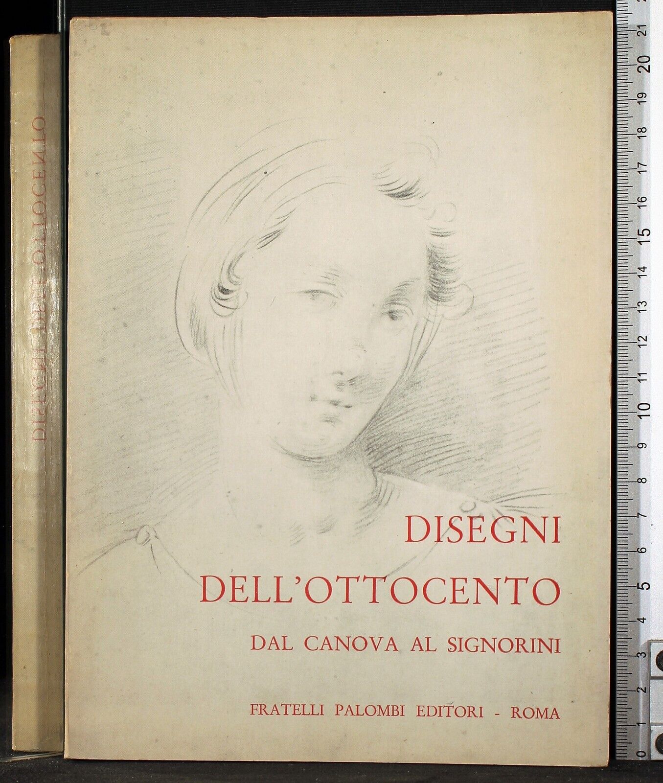 Disegni dell'Ottocento