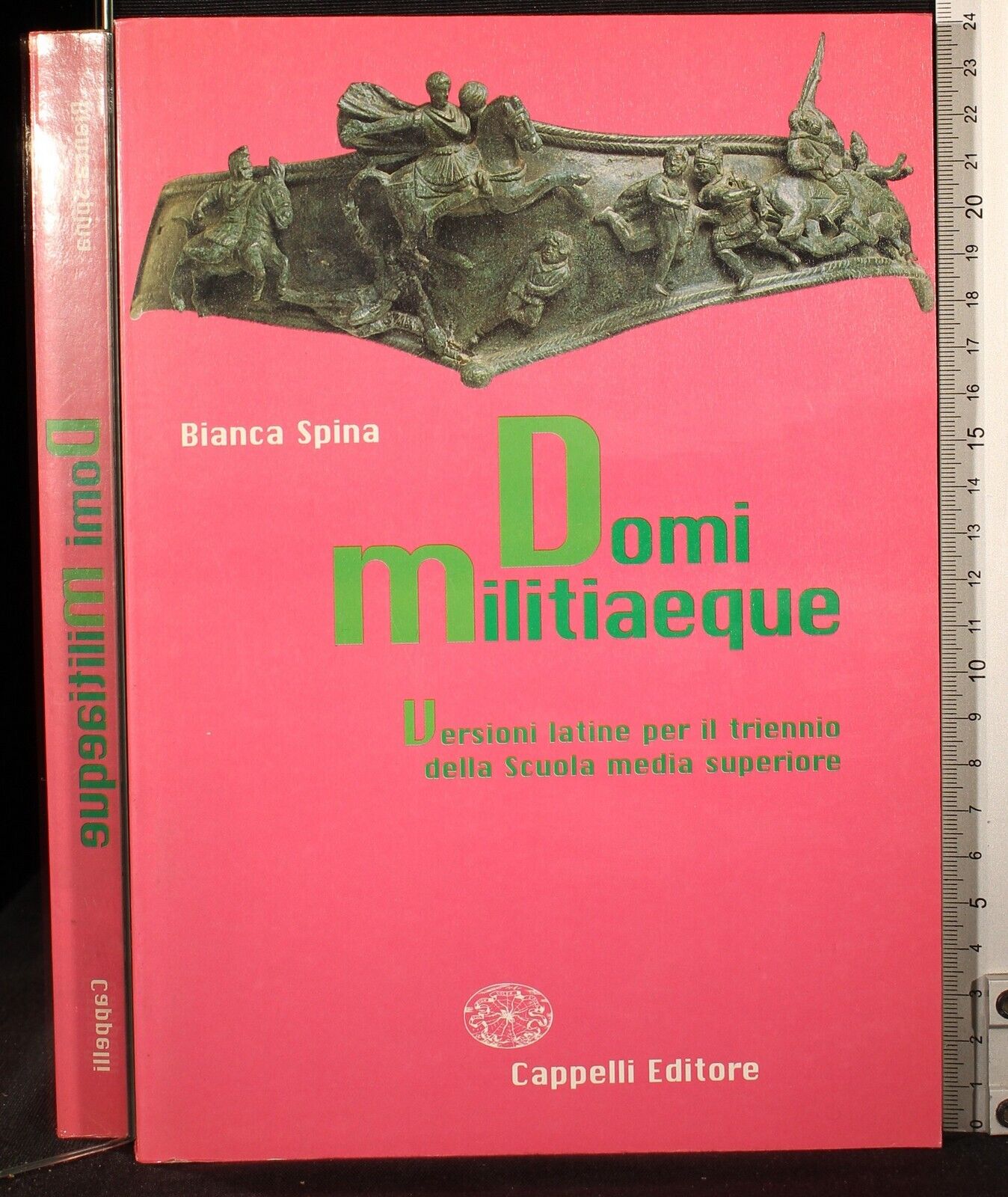Domi militiaeque