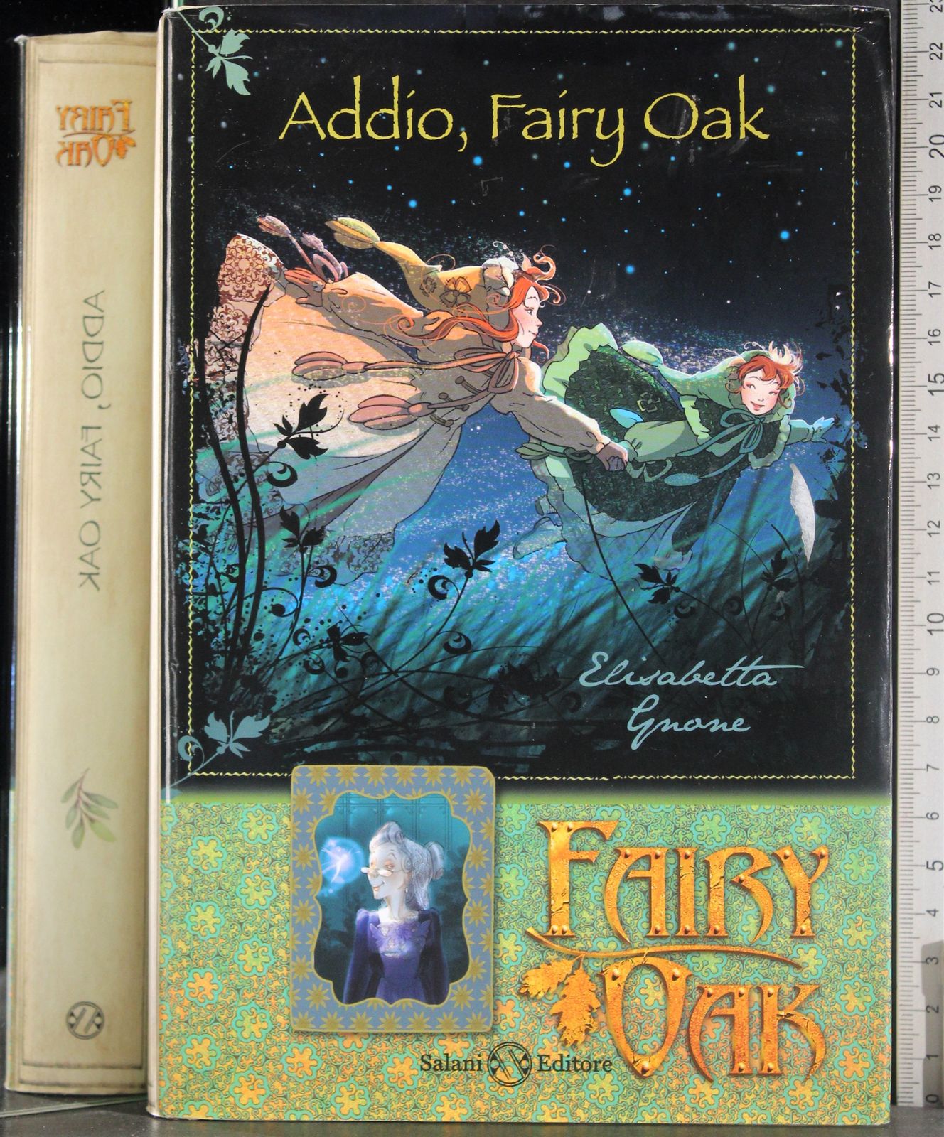 Fairy oak. Addio, Fairy Oak
