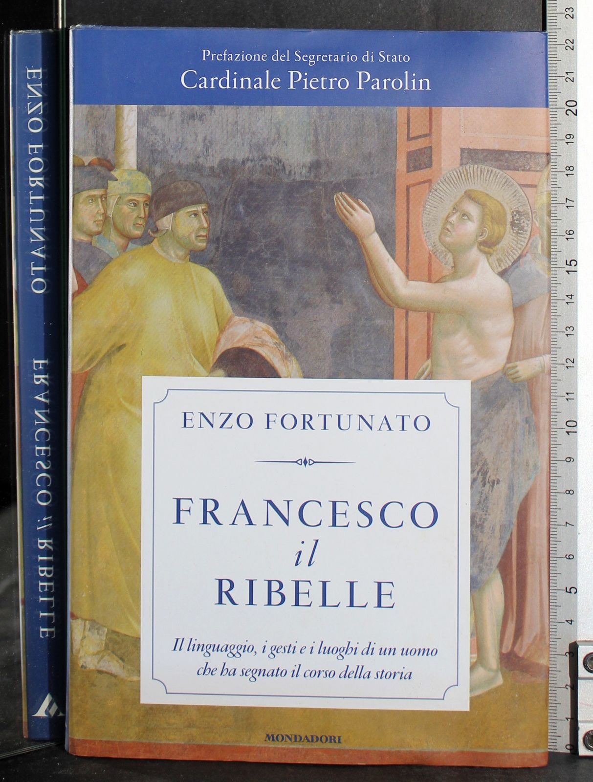Francesco il Ribelle