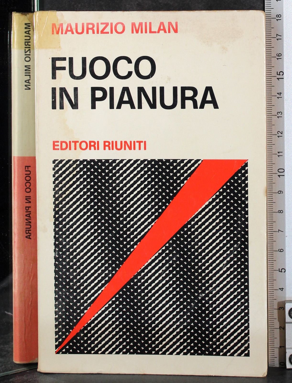 Fuoco in pianura