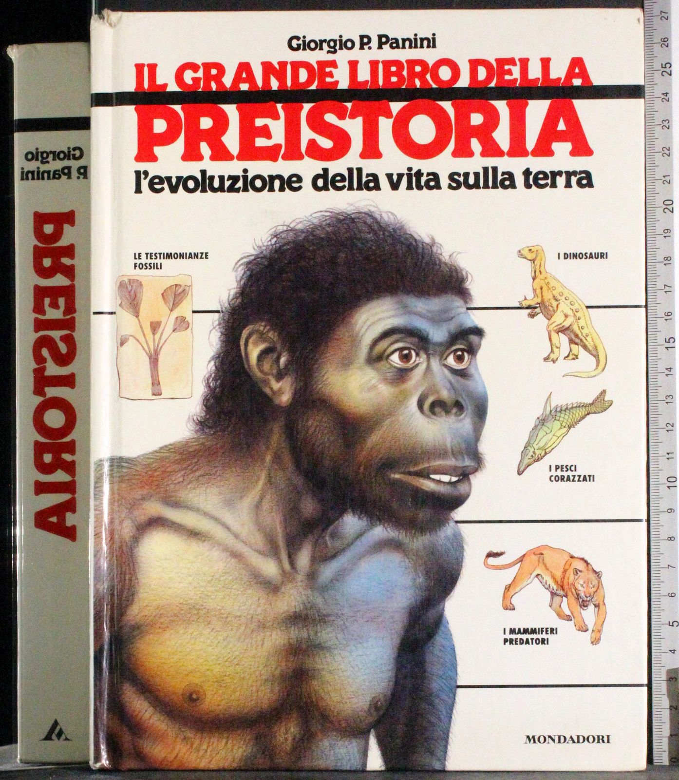 Grande libro della preistoria. Evoluzione vita sulla terra