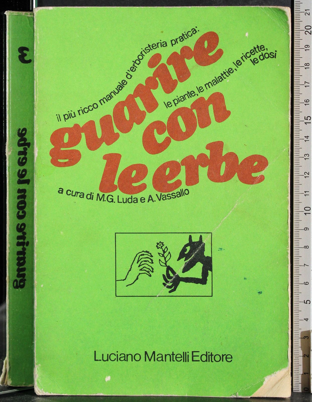 Guarire con le erbe 3