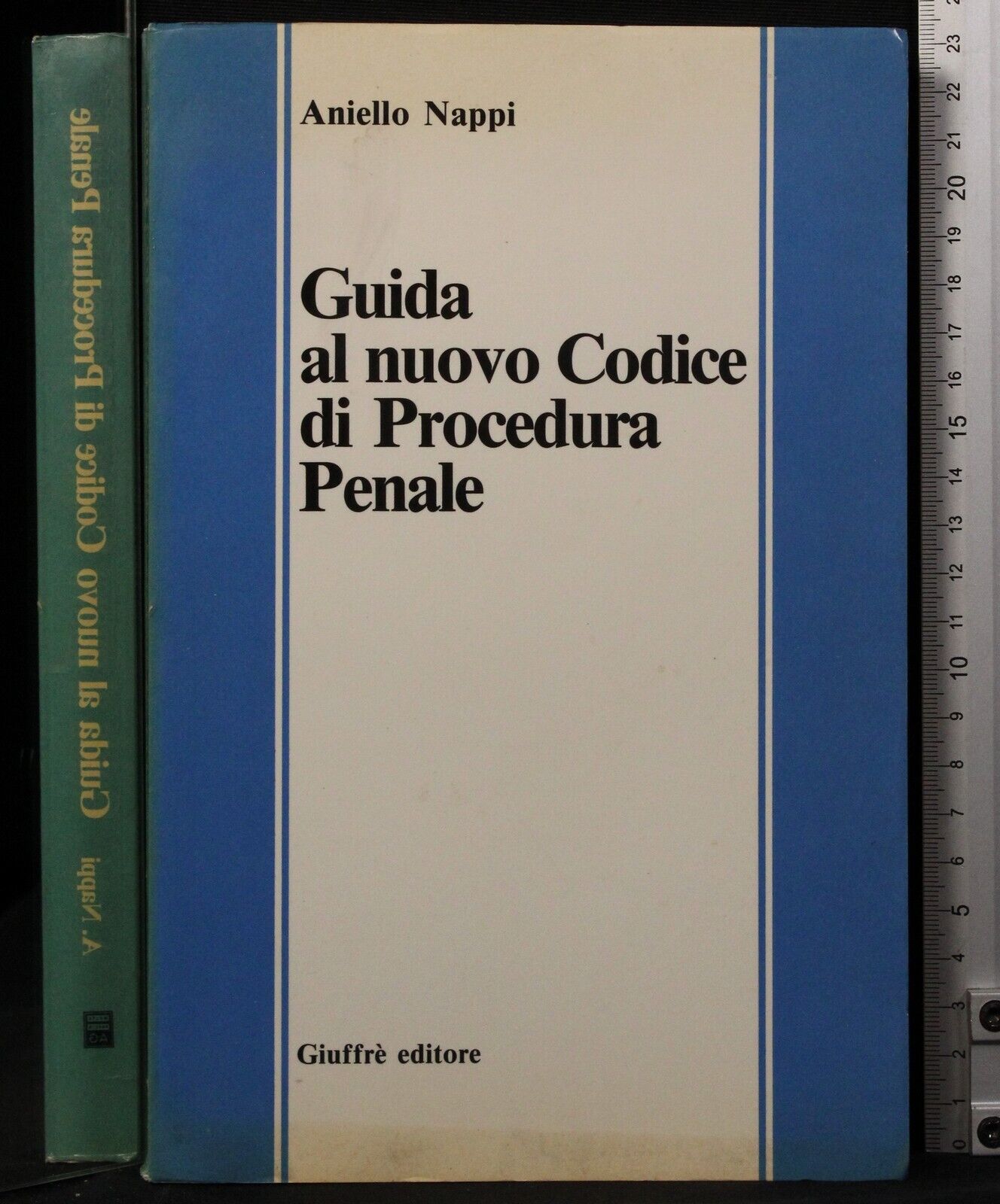 Guida al nuovo codice di Procedura Penale