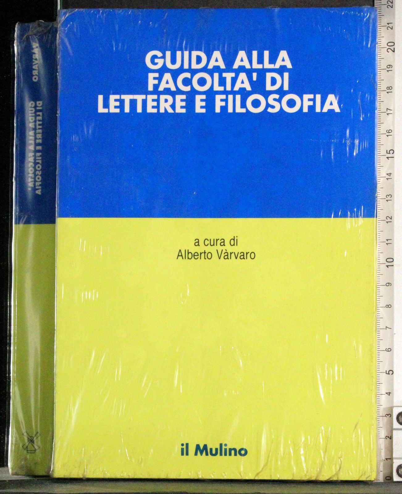 Guida alla facoltà di lettere e filosofia