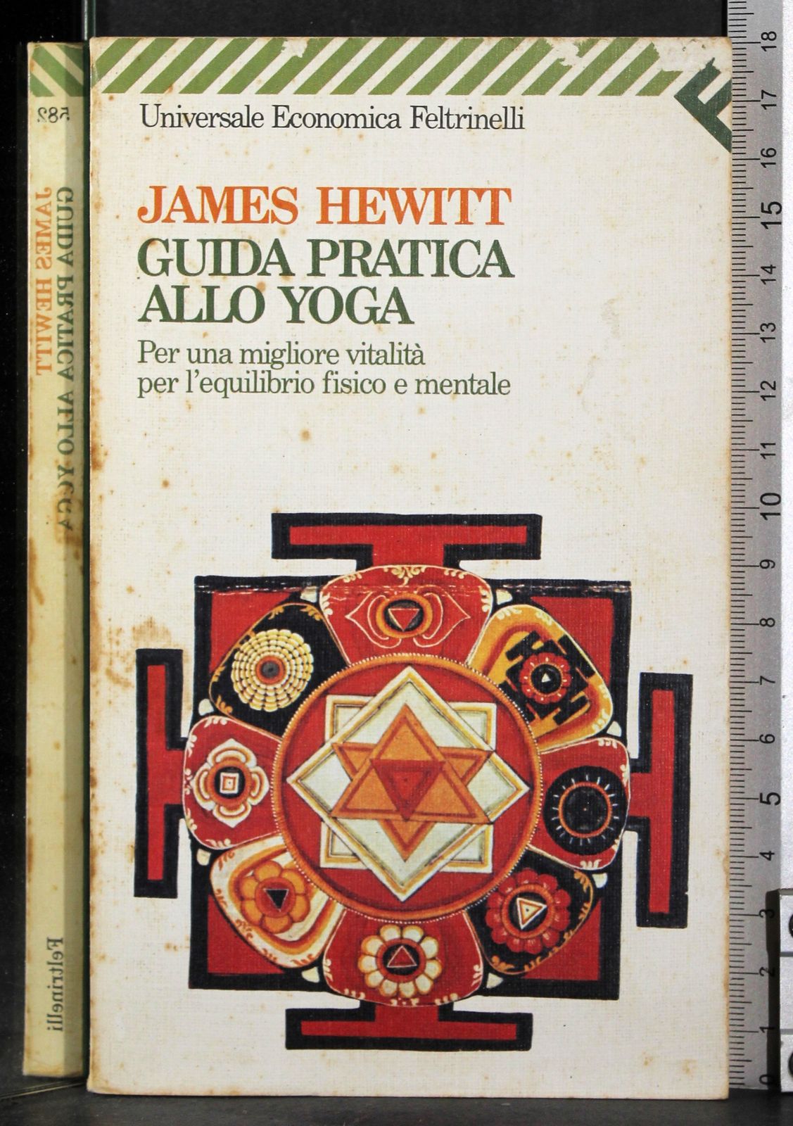 Guida pratica allo yoga