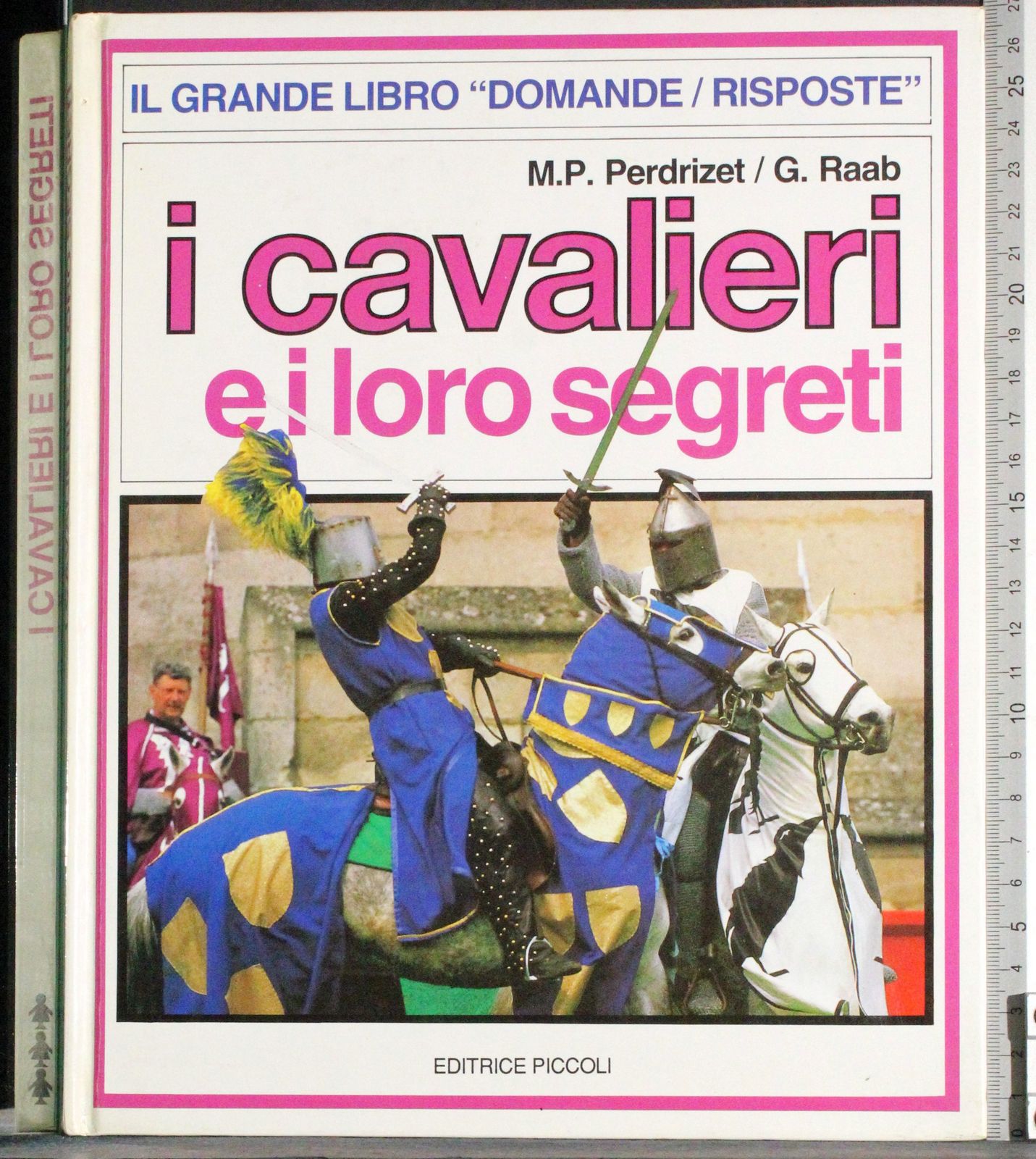 I cavalieri e i loro segreti