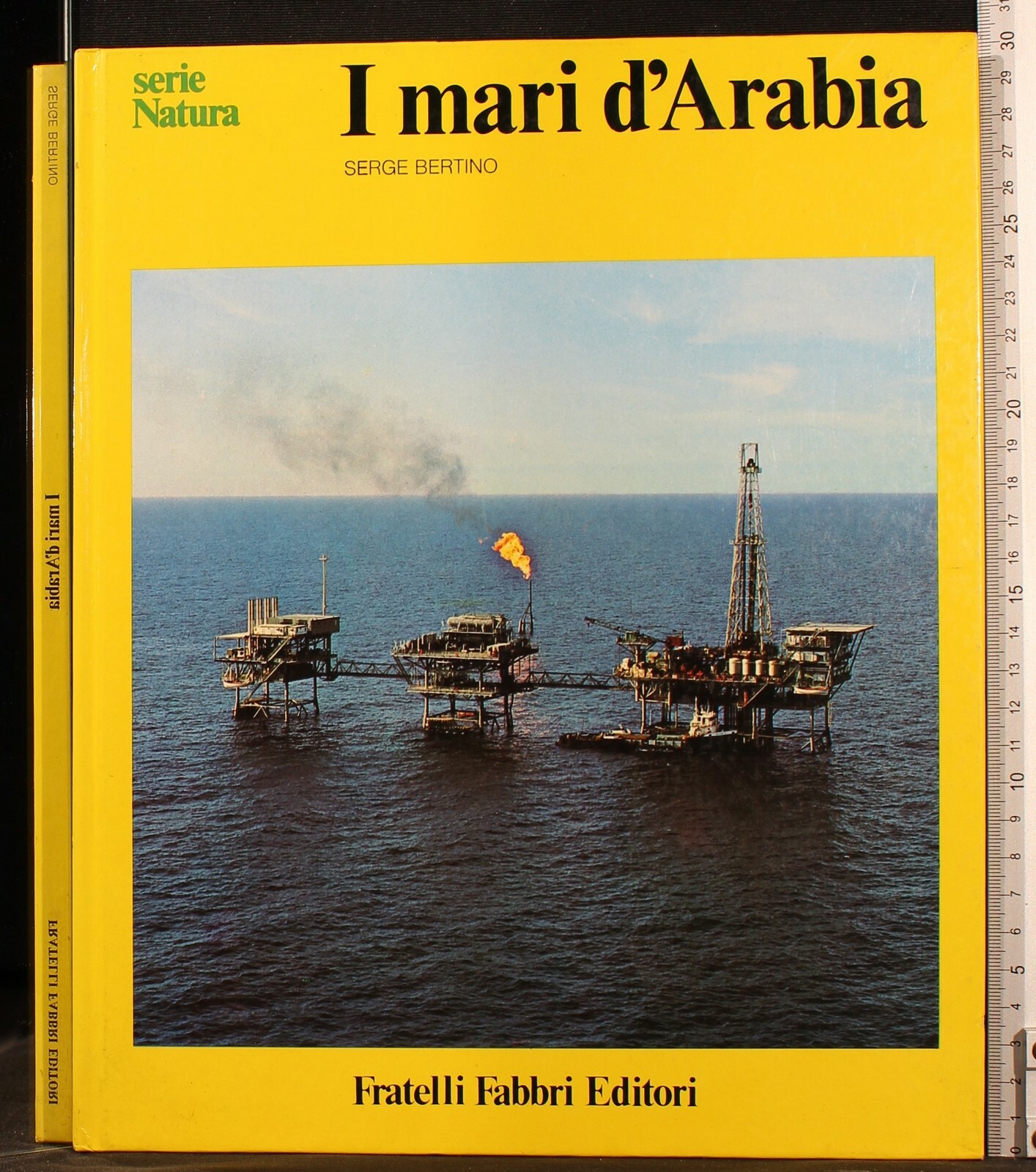 I mari d'Arabia