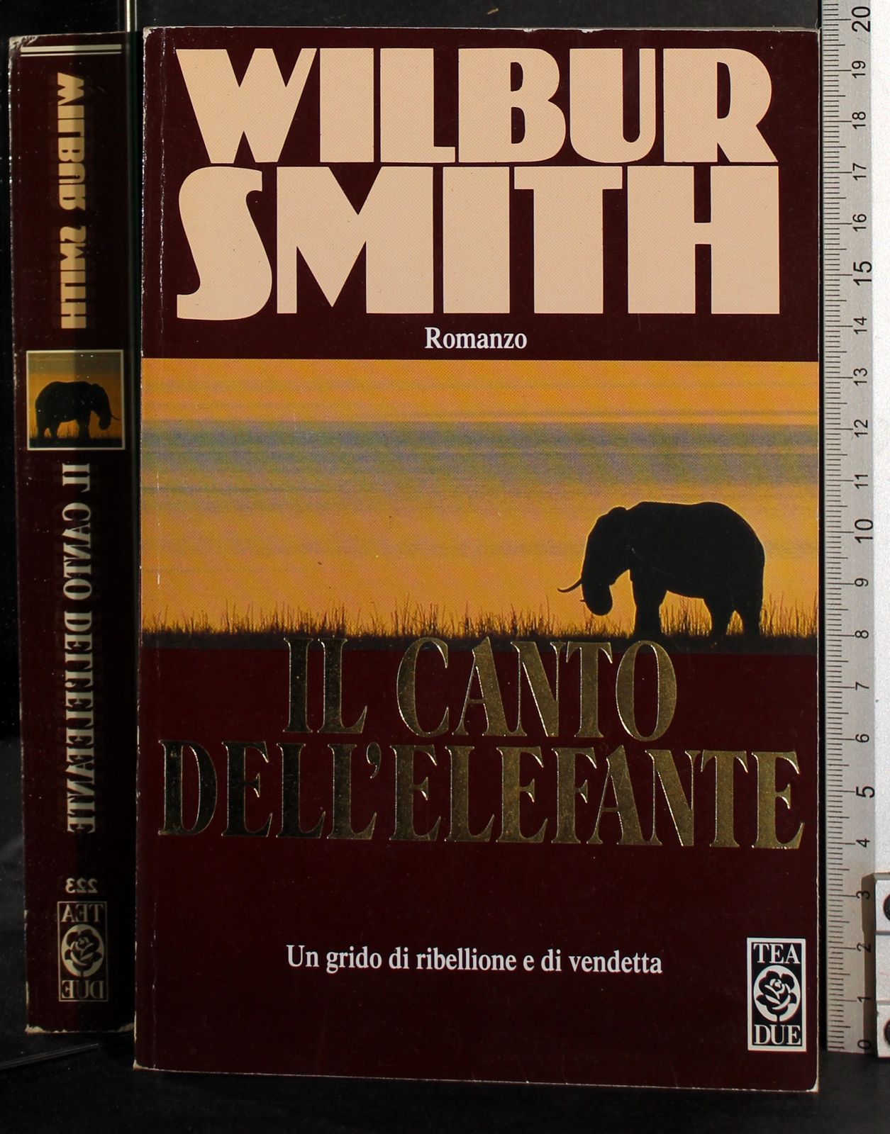 Il canto dell'elefante