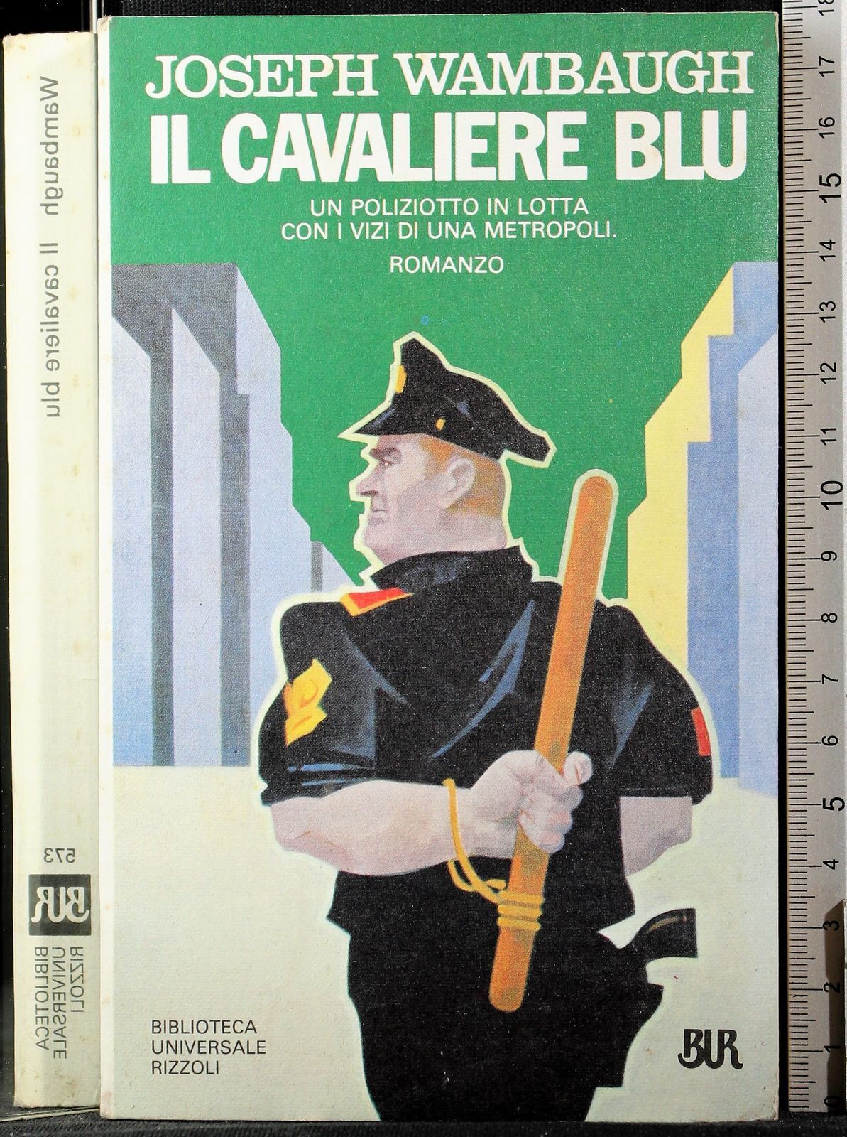 Il cavaliere blu