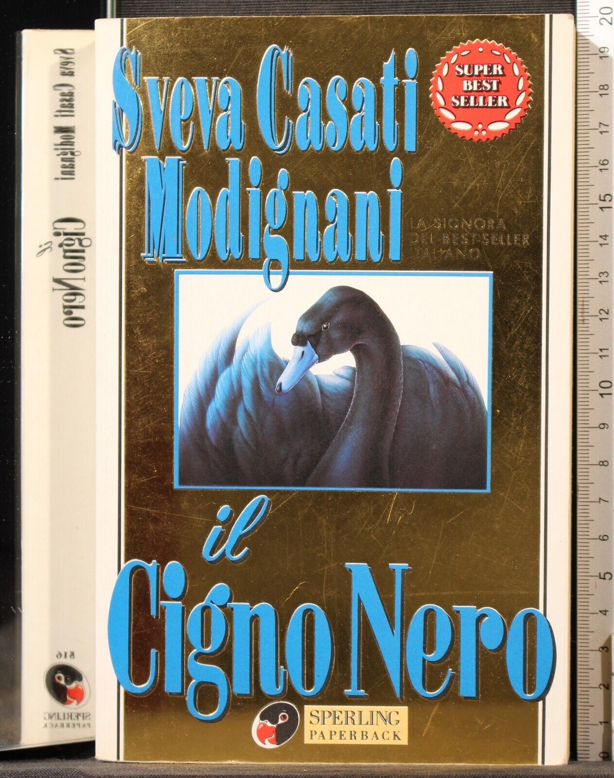 Il cigno nero