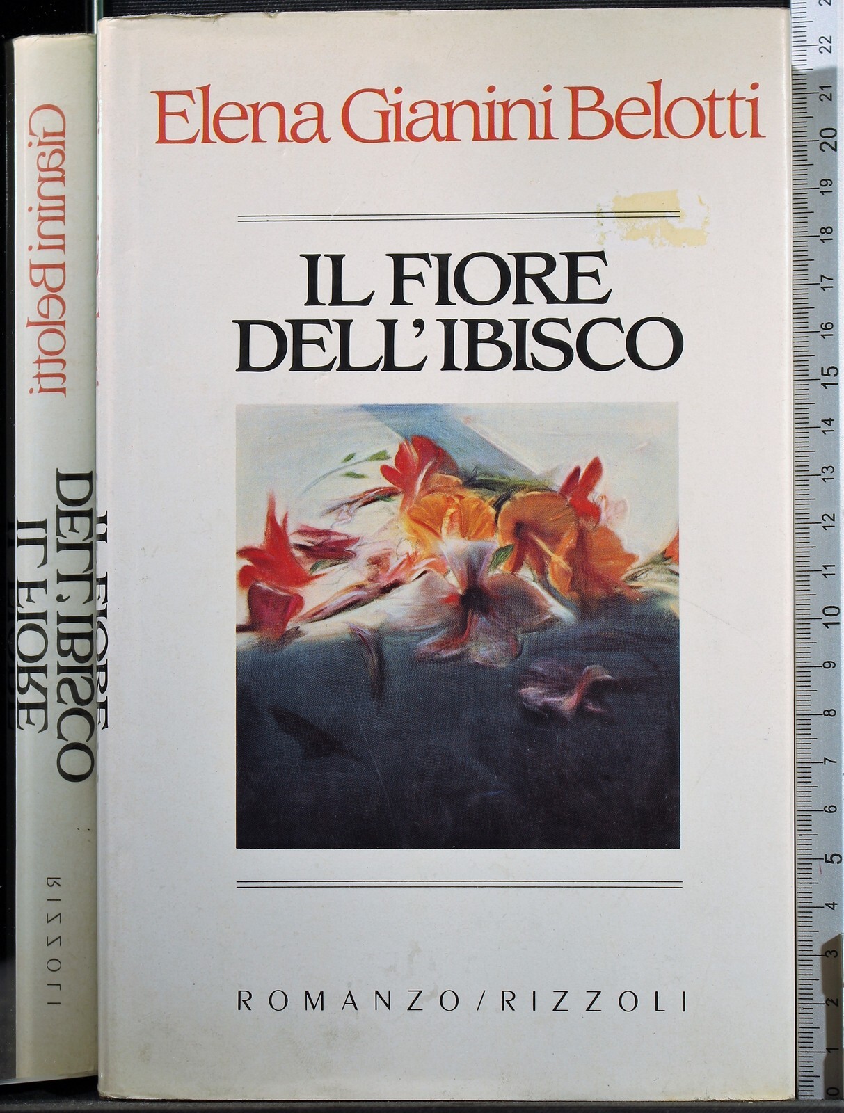 Il fiore dell'ibisco