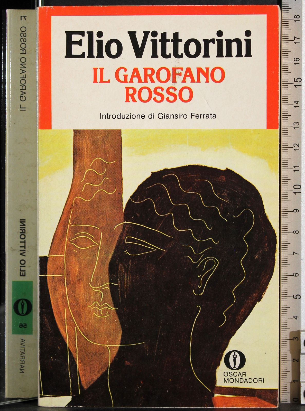 Il garofano rosso