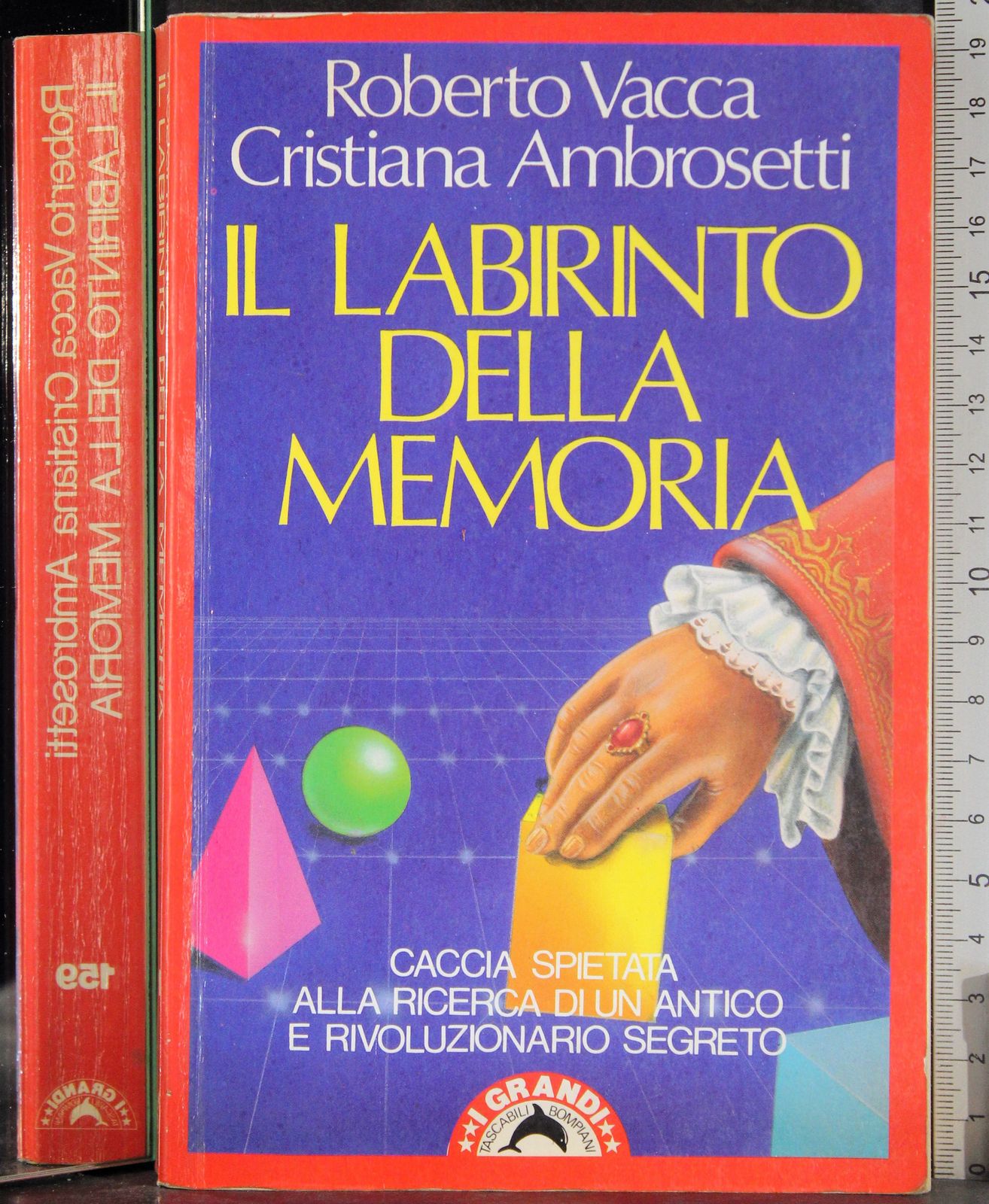 Il labirinto della memoria