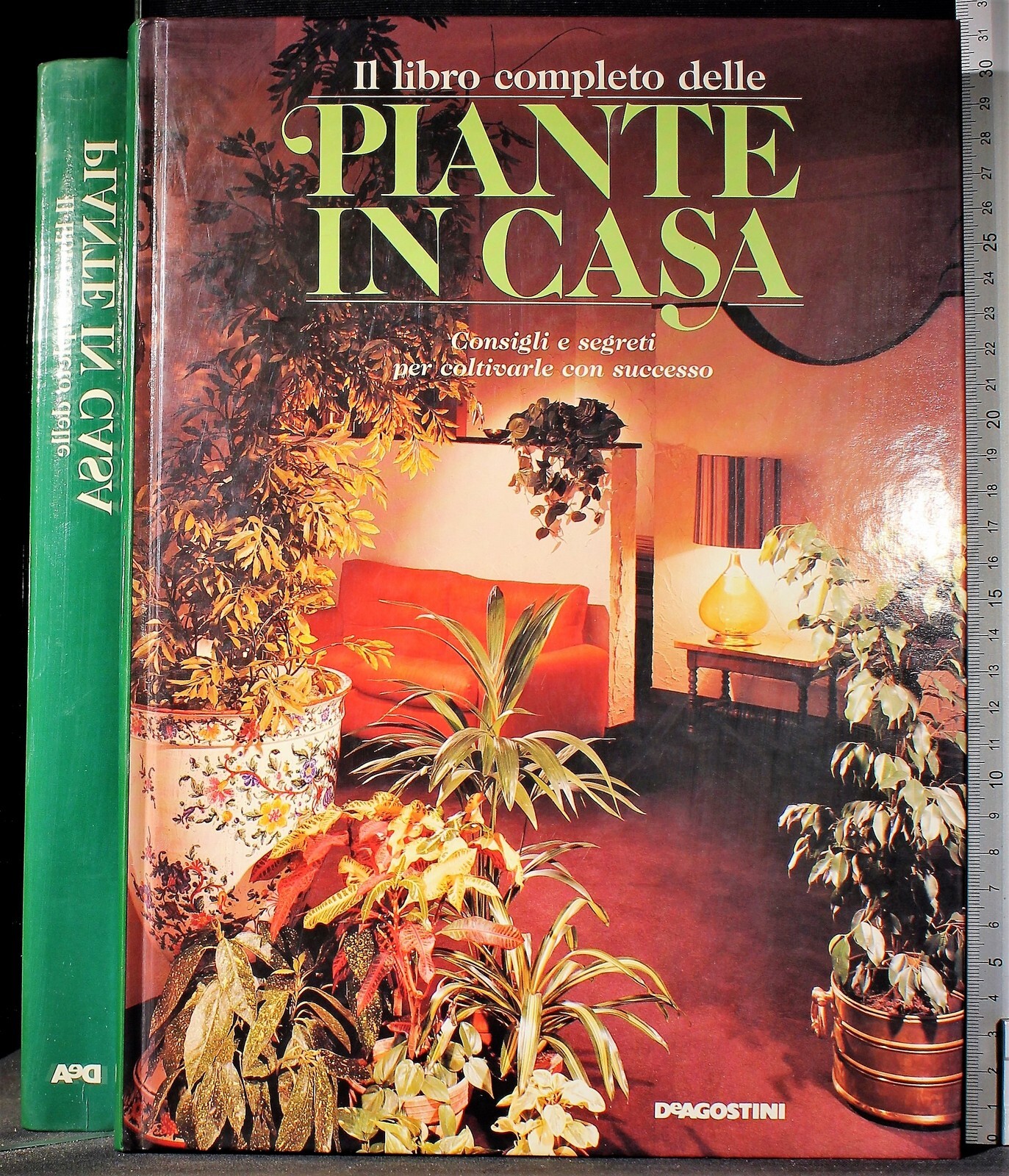 Il libro completo delle piante in casa