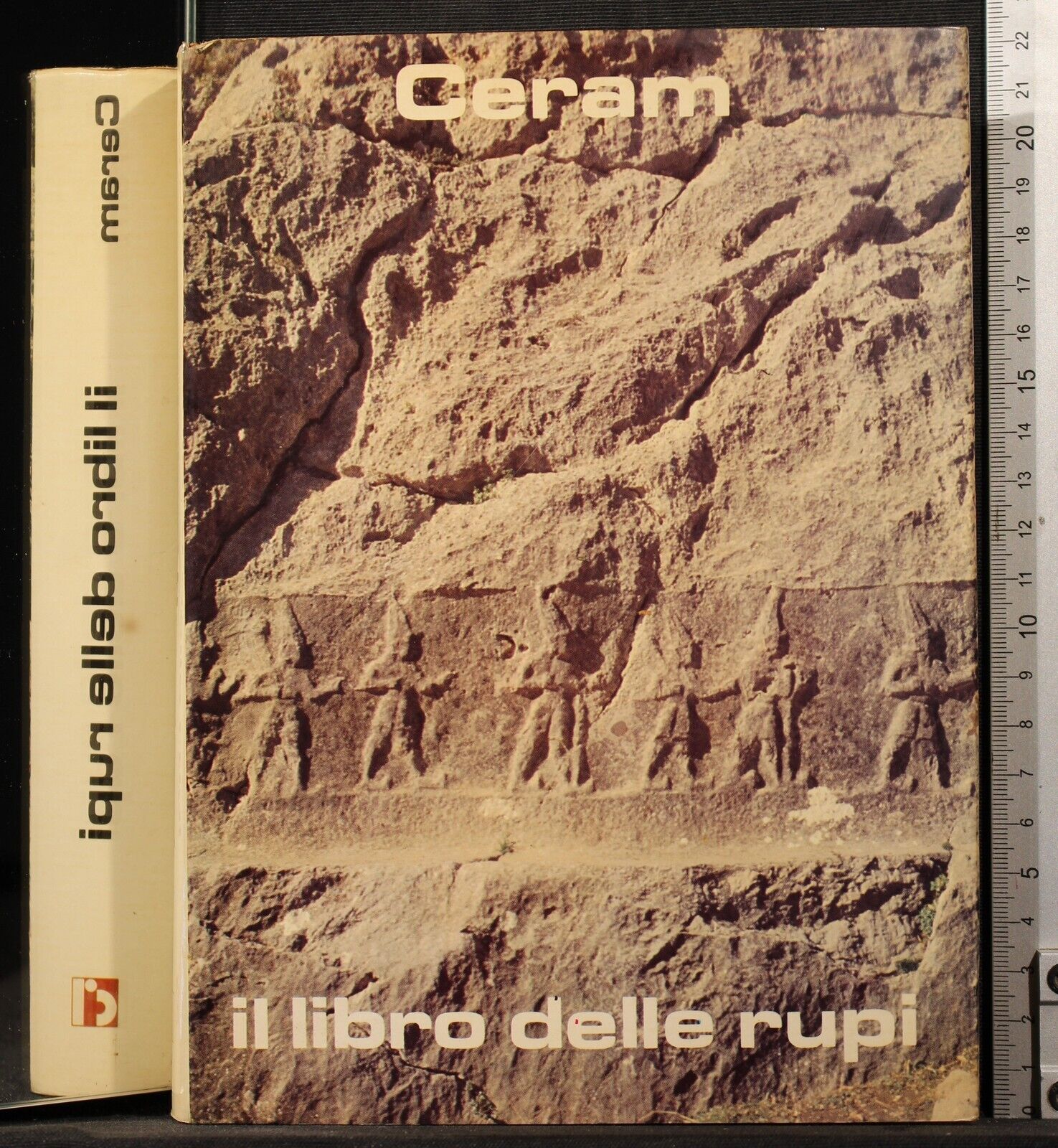 Il libro delle rupi