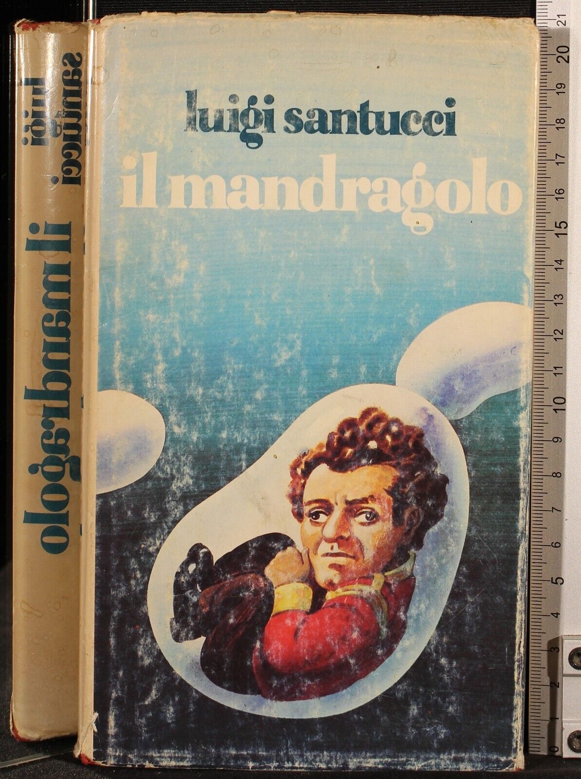 Il mandragolo