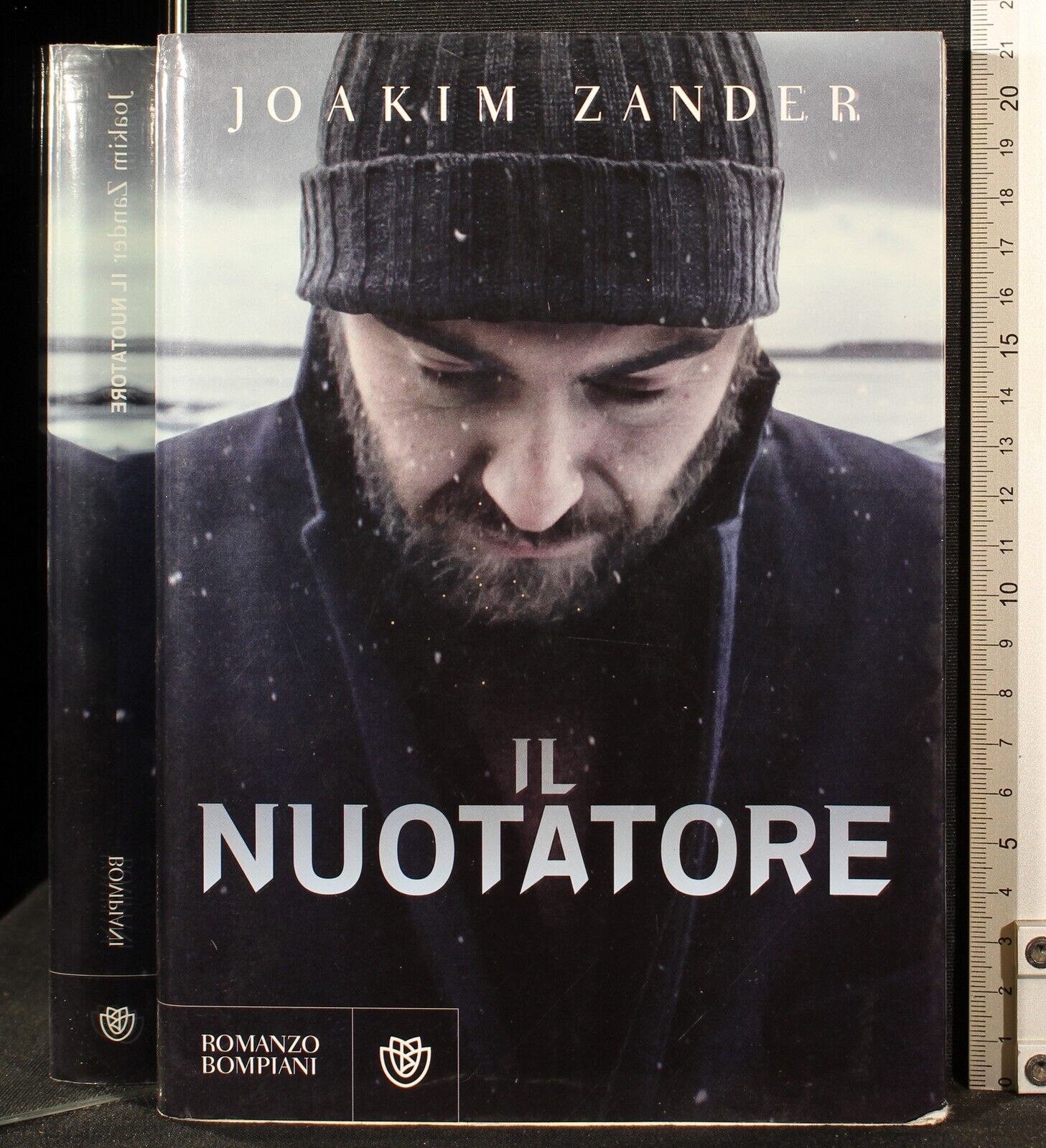 Il nuotatore