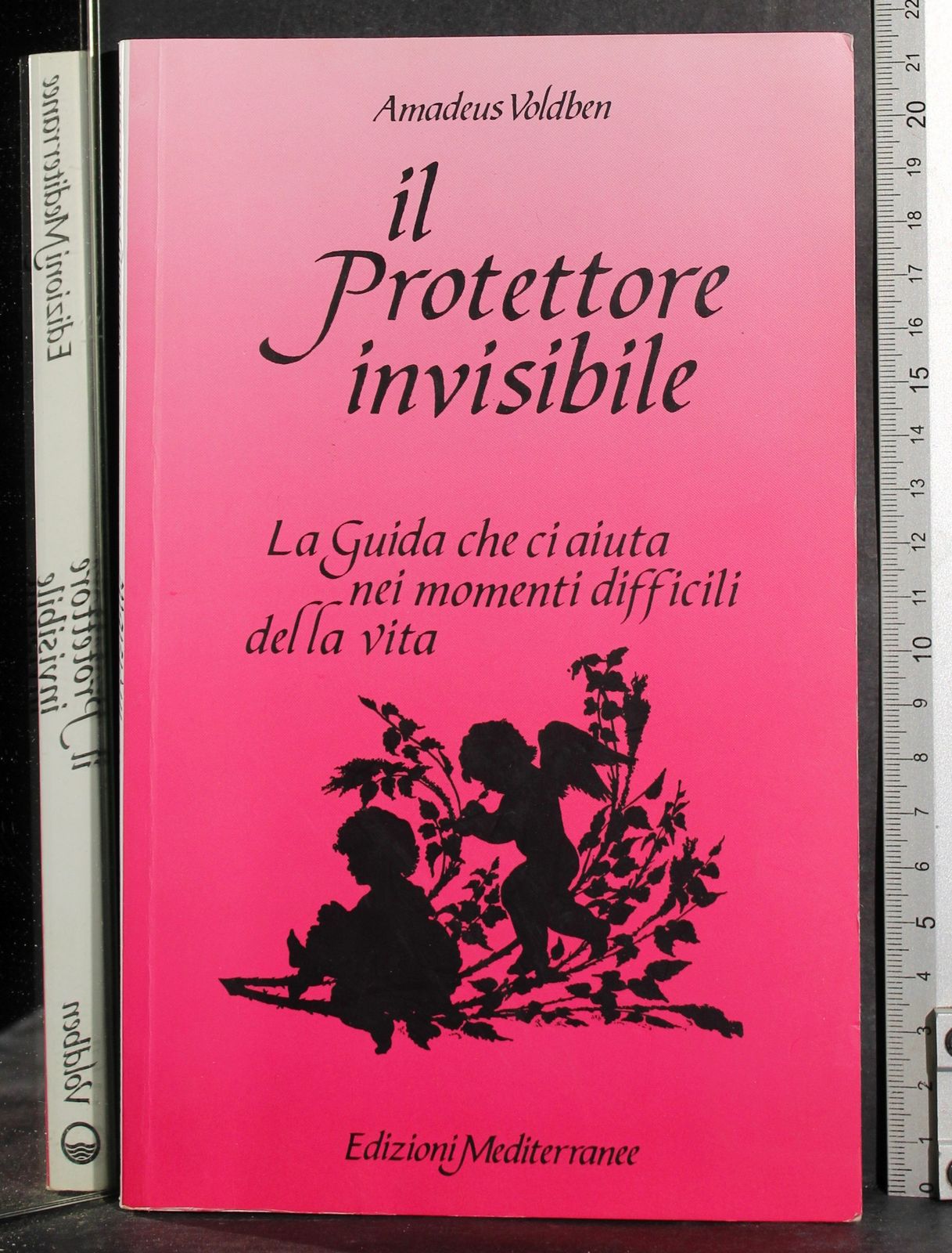 Il Protettore invisibile
