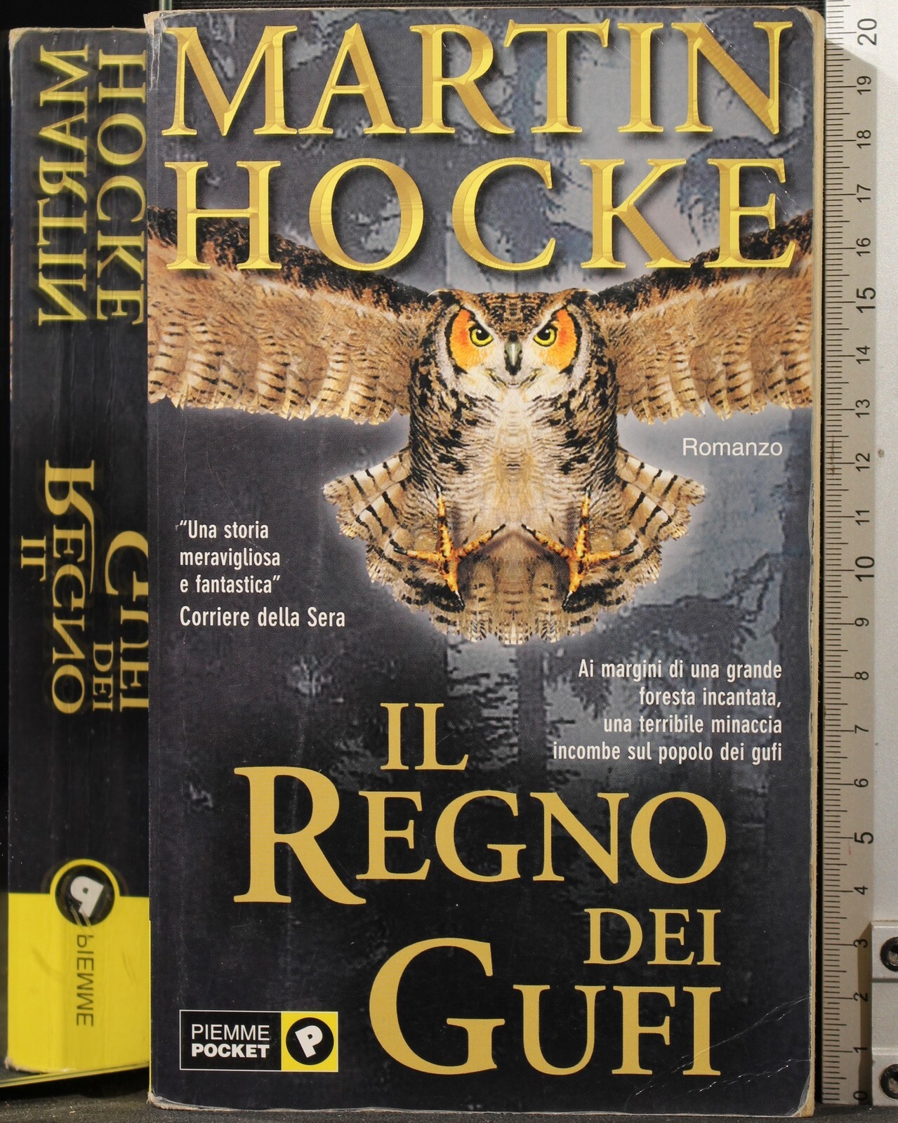 Il regno dei gufi