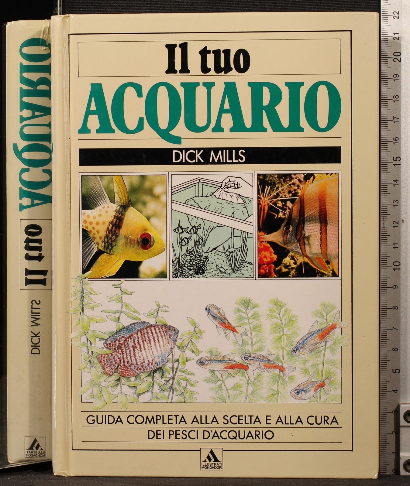 Il tuo acquario