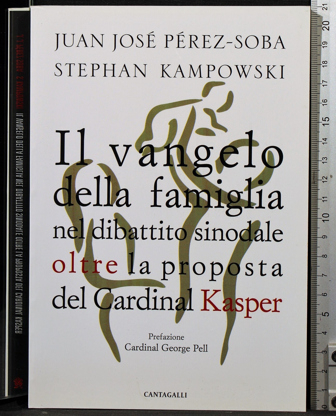 Il Vangelo della famiglia nel dibattito sinodale.