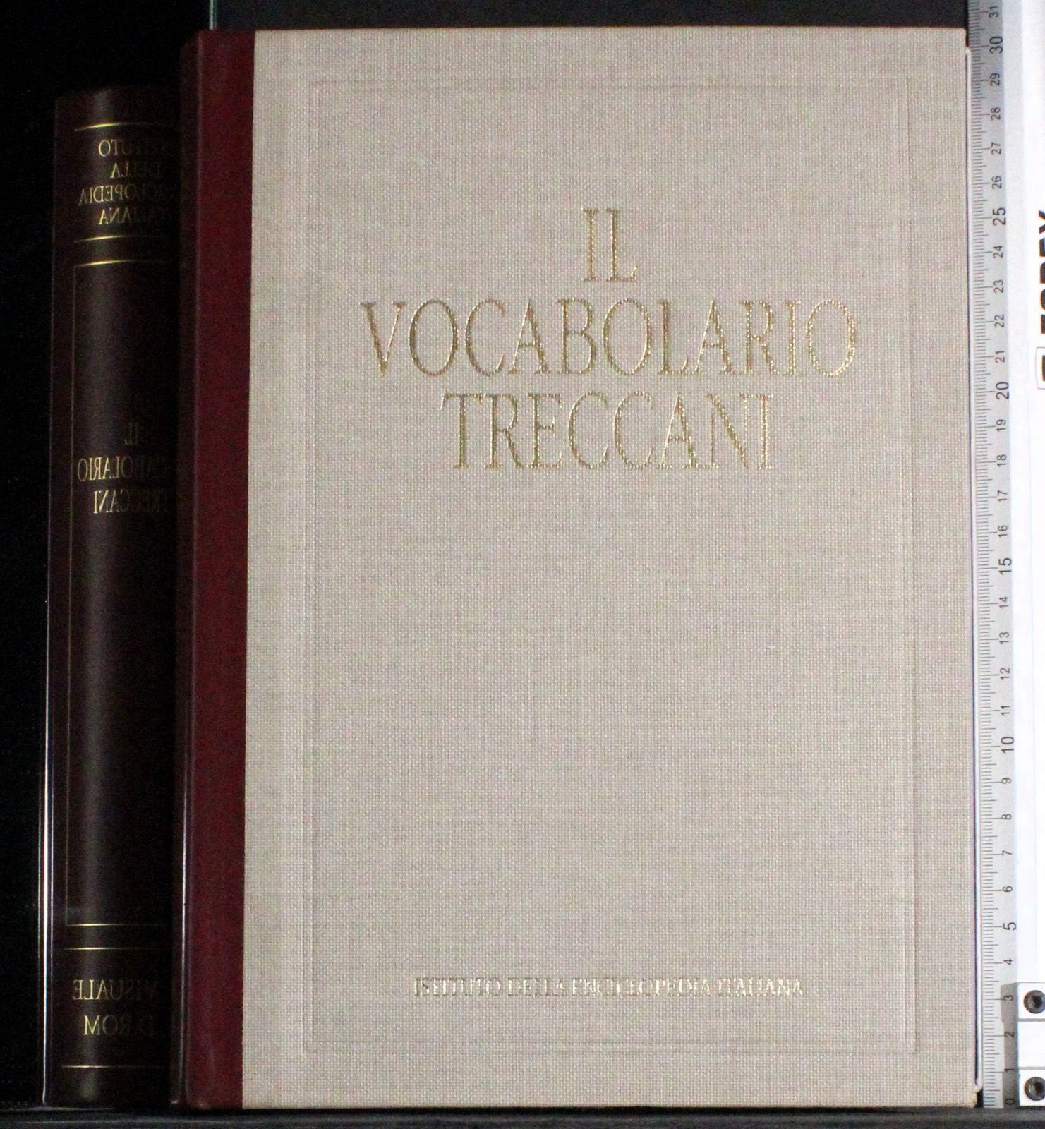 Il vocabolario Treccani. Il visuale. CD Rom