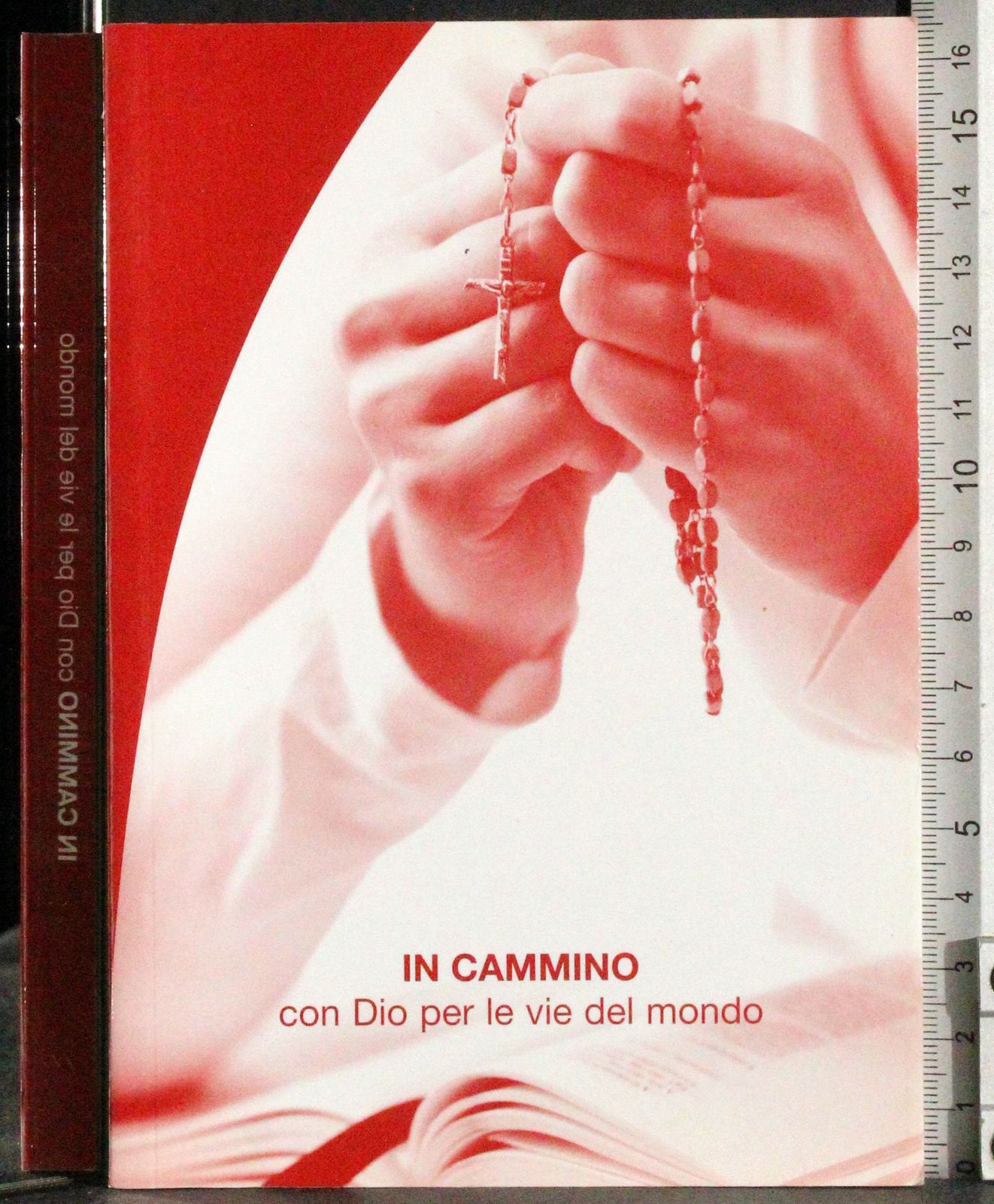 In cammino con Dio per le vie del mondo