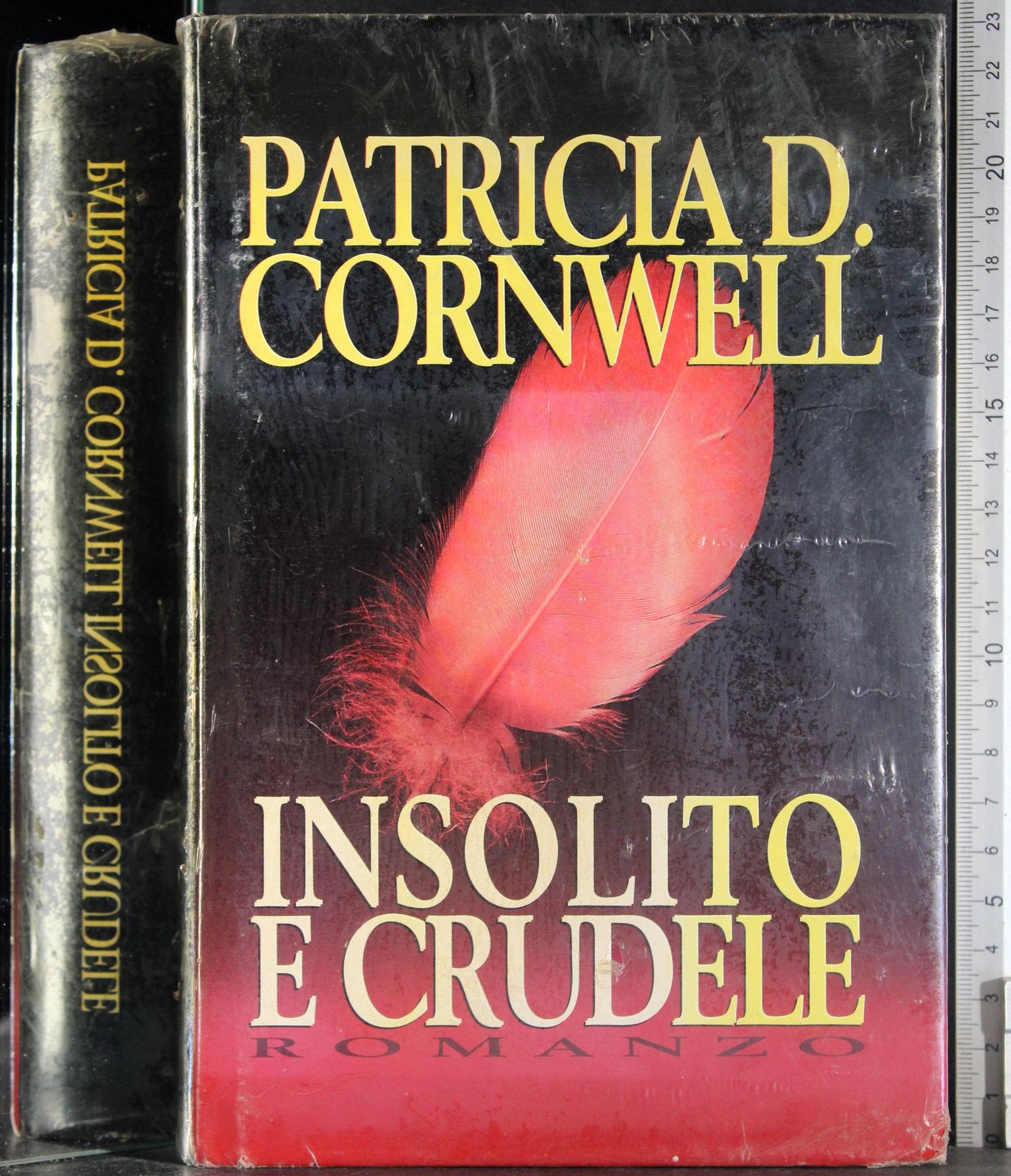 Insolito e crudele