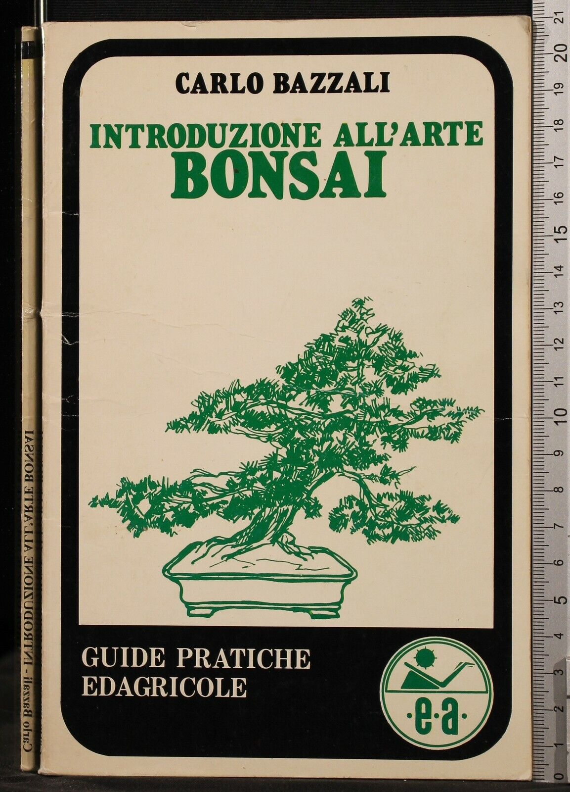 Introduzione all'arte Bonsai