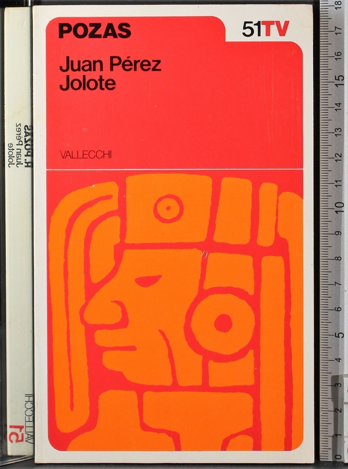 Juan Perez Jolote. Biografia di un tzotzil