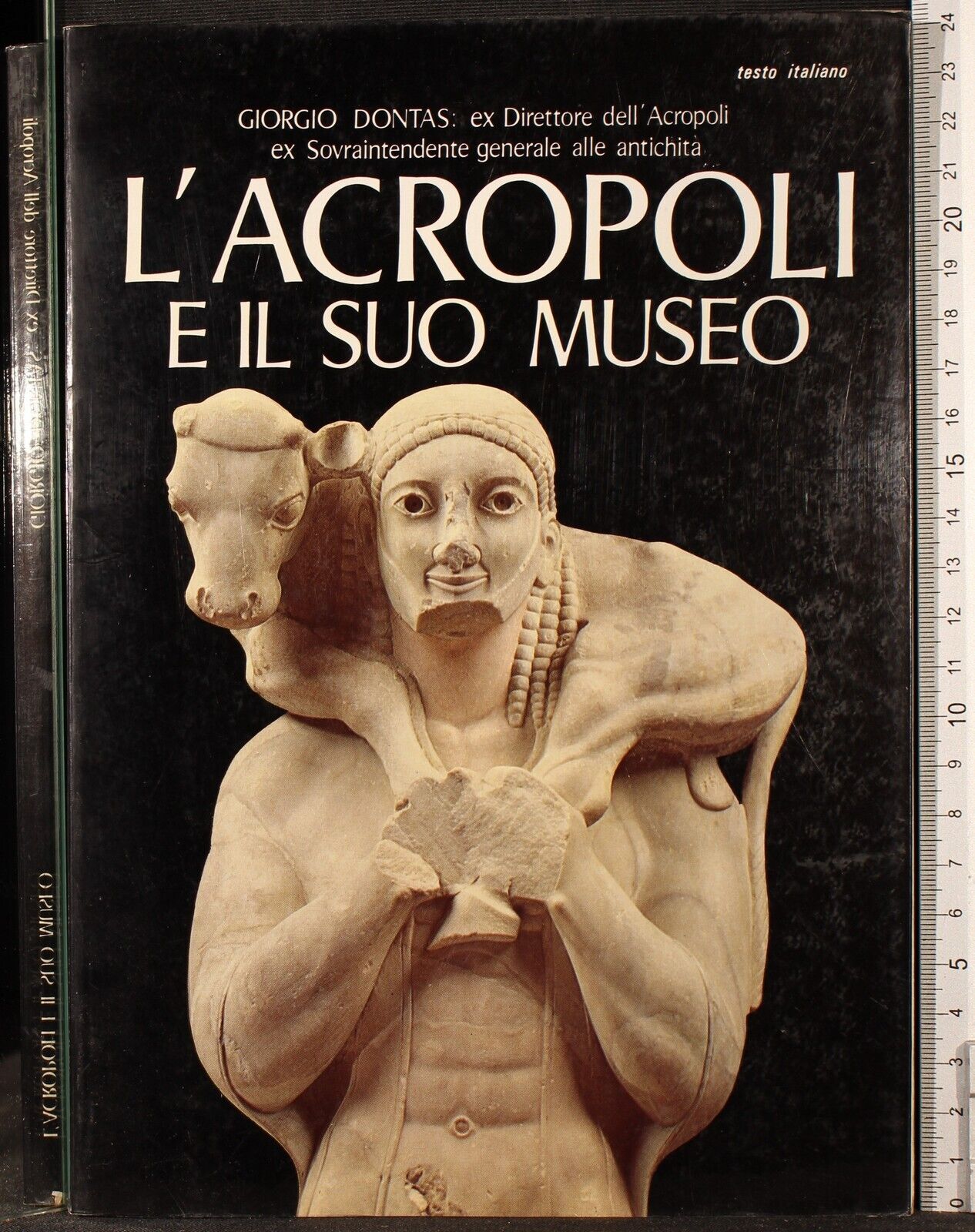 L'Acropoli e il suo museo