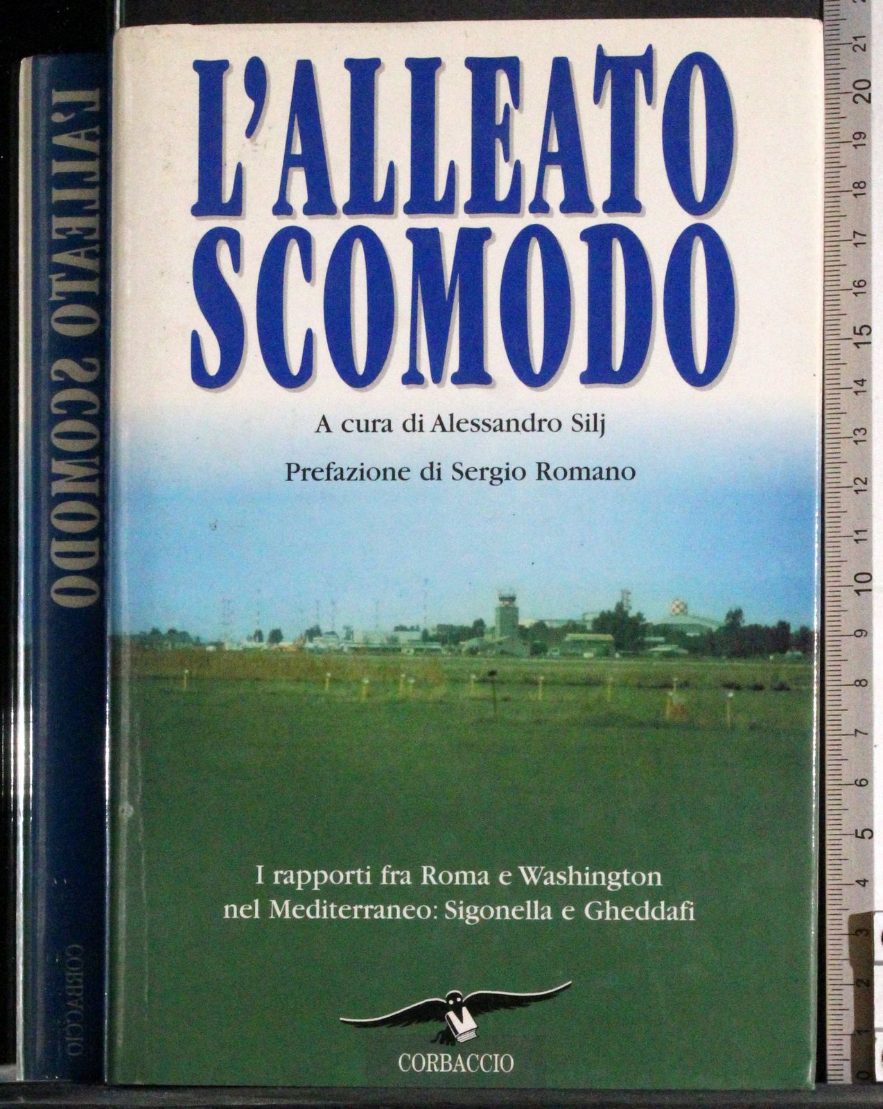 L'alleato scomodo