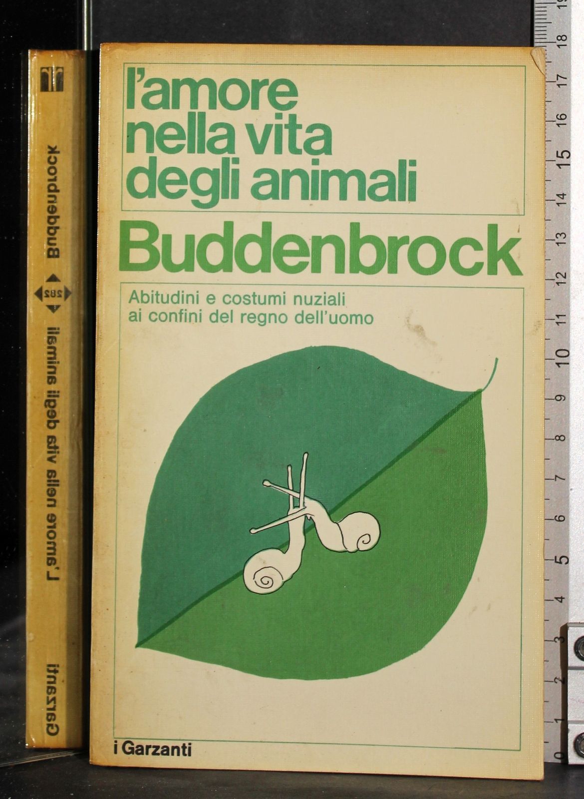 L'amore nella vita degli animali. Buddenbrock
