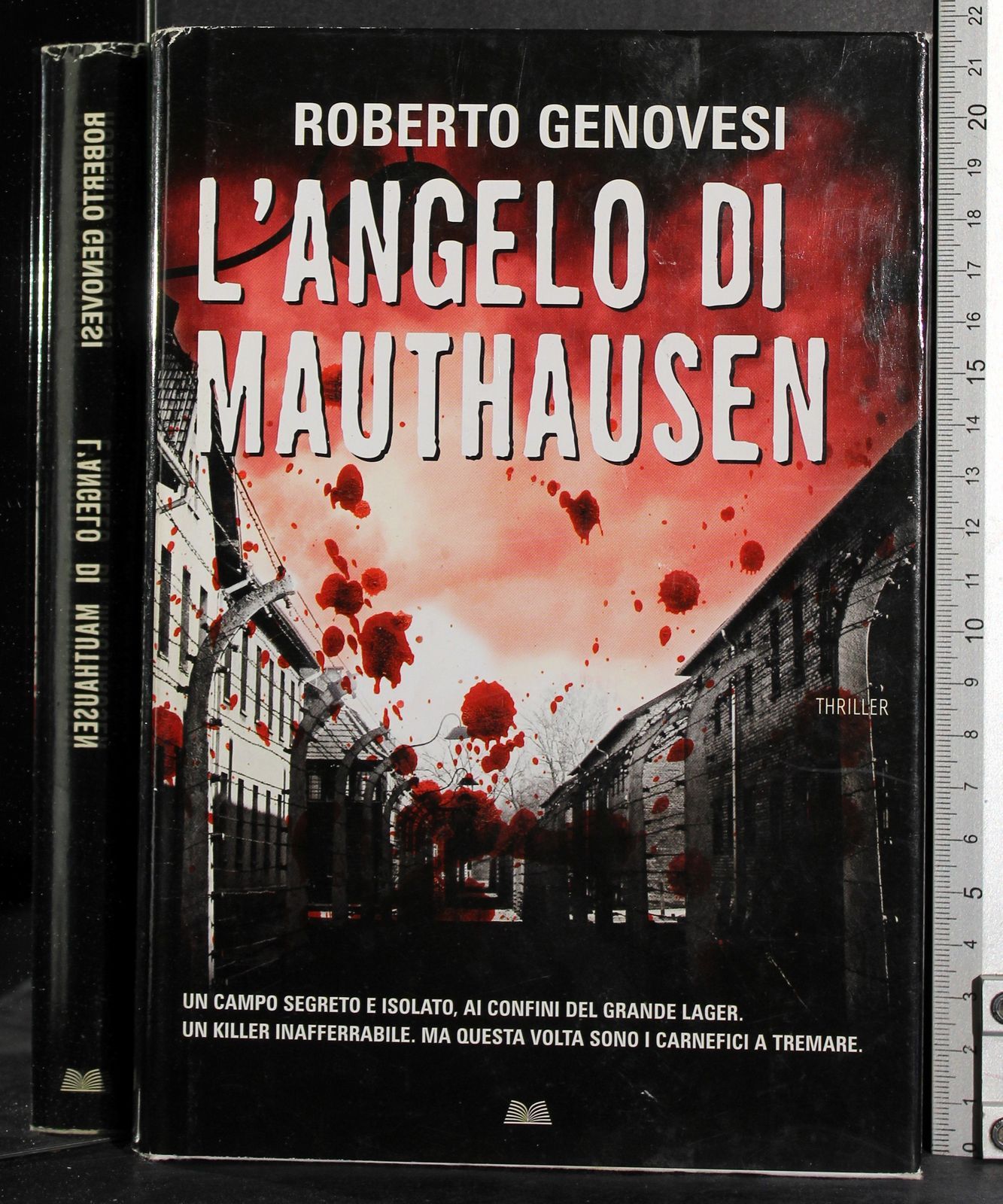 L'Angelo di Mauthausen