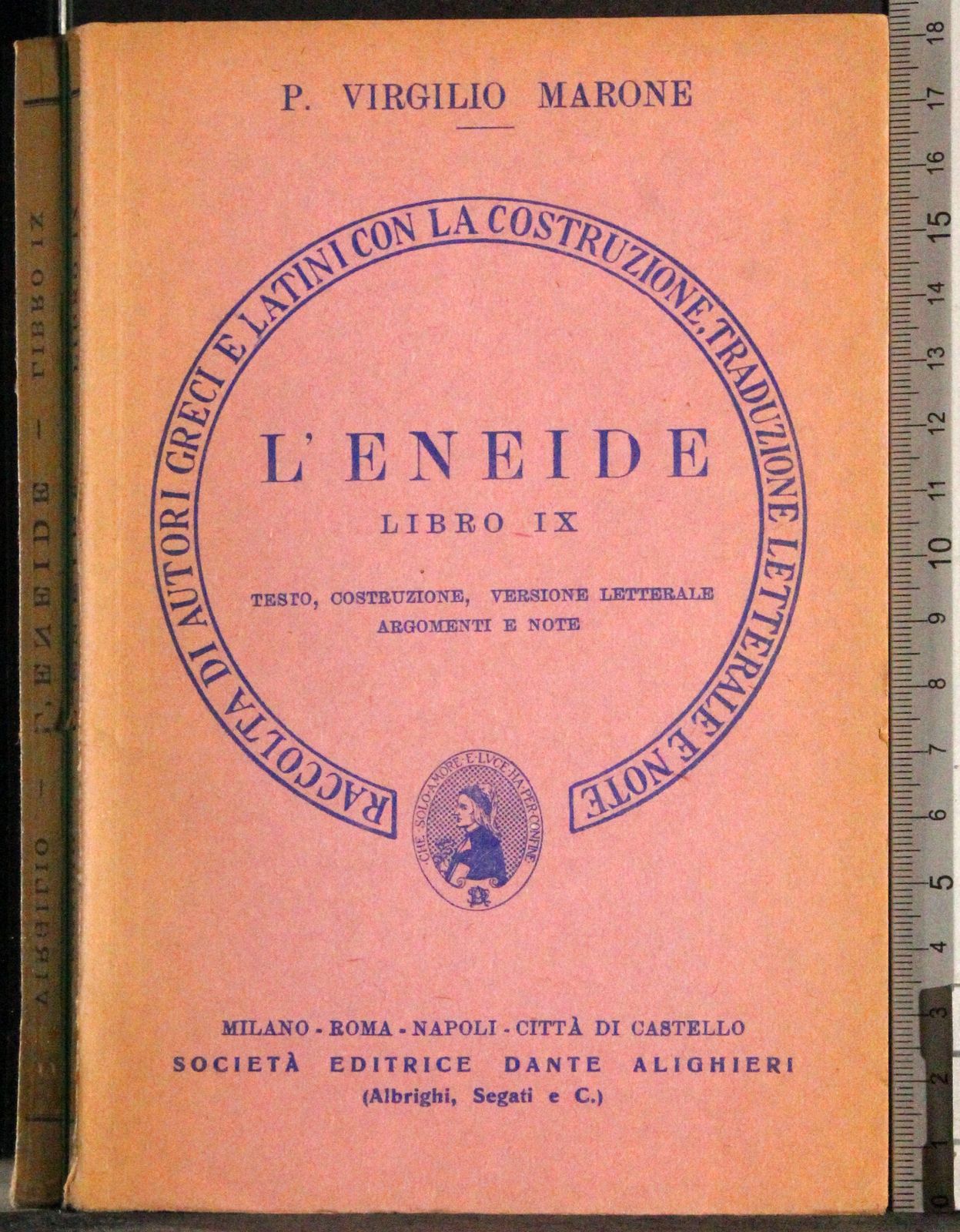 L'Eneide. Libro IX