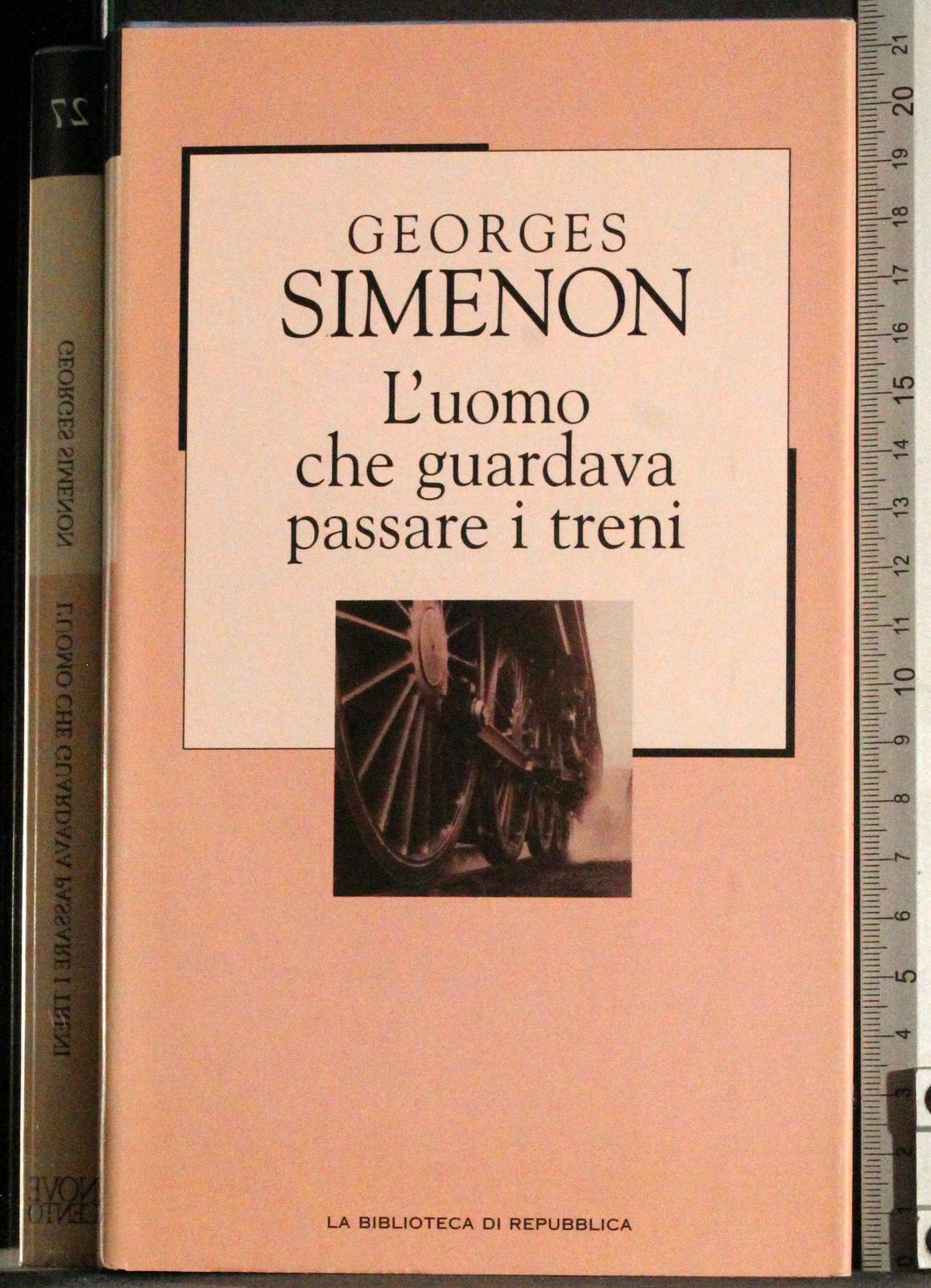 L'uomo che guardava passare i treni