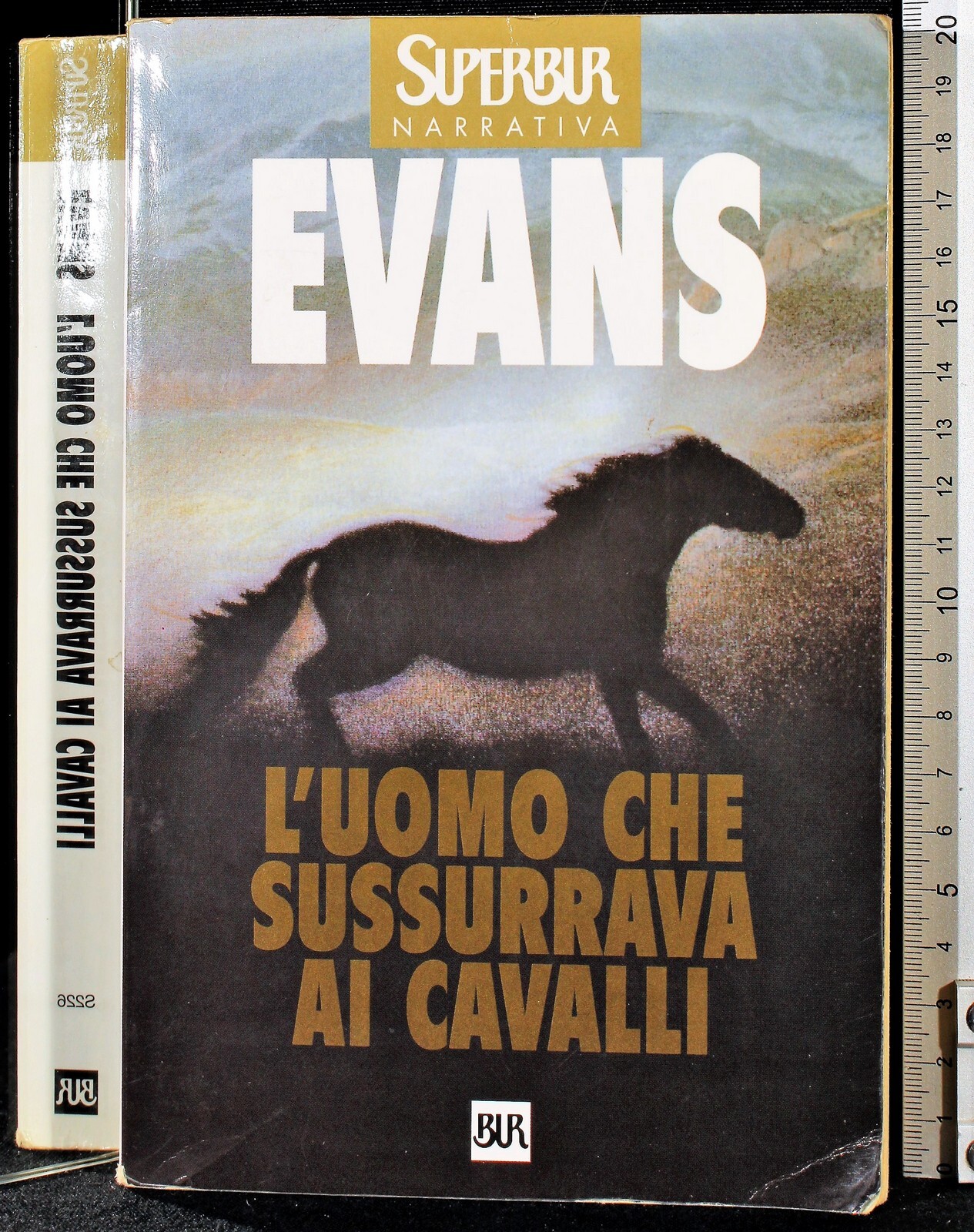 L'uomo che sussurrava ai cavalli